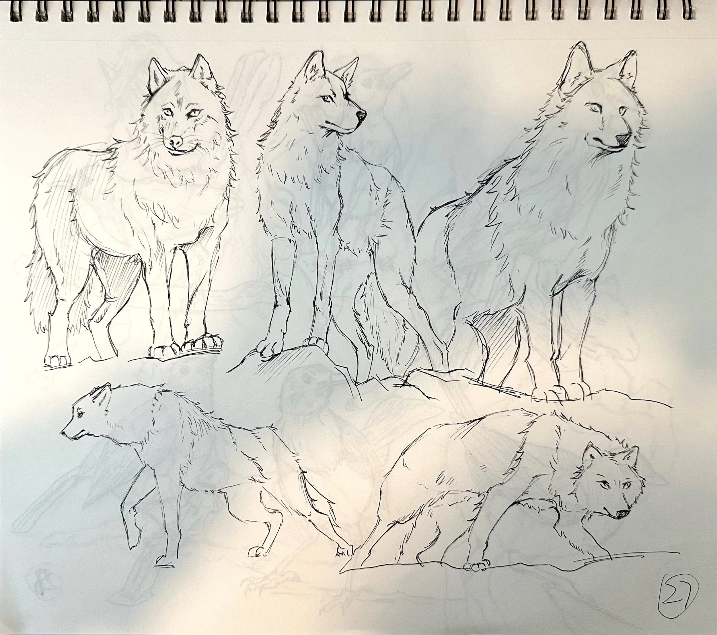 扫描全能王 2025-04-15 03.17_7.jpeg