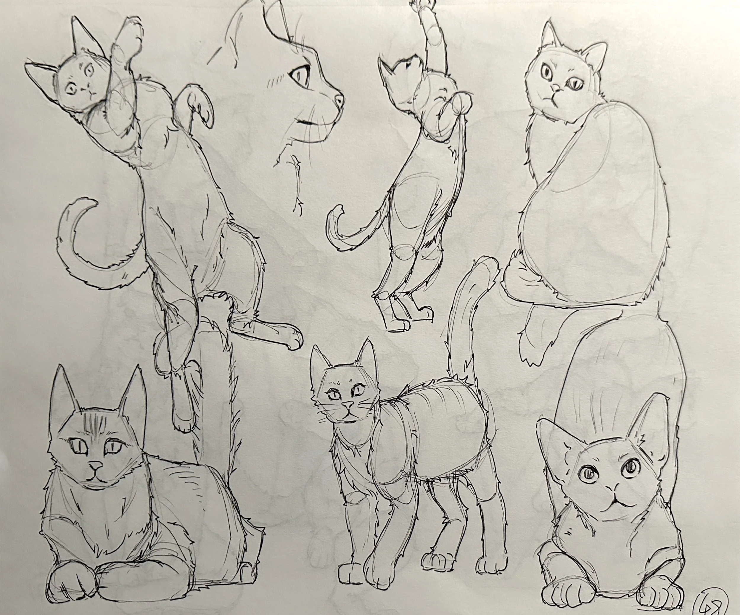 扫描全能王 2025-04-26 17.08_8.jpeg