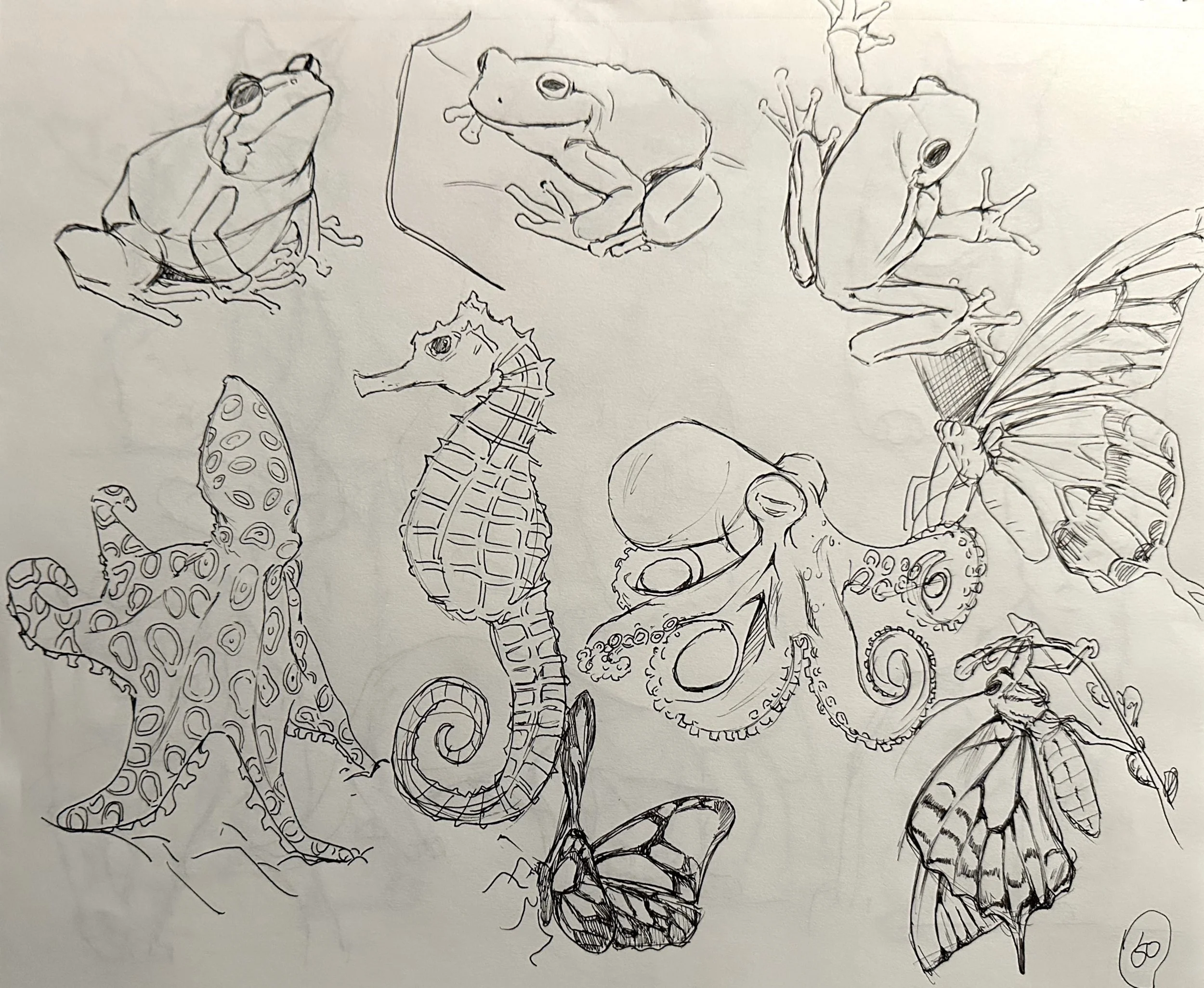 扫描全能王 2025-04-26 17.08_10.jpeg