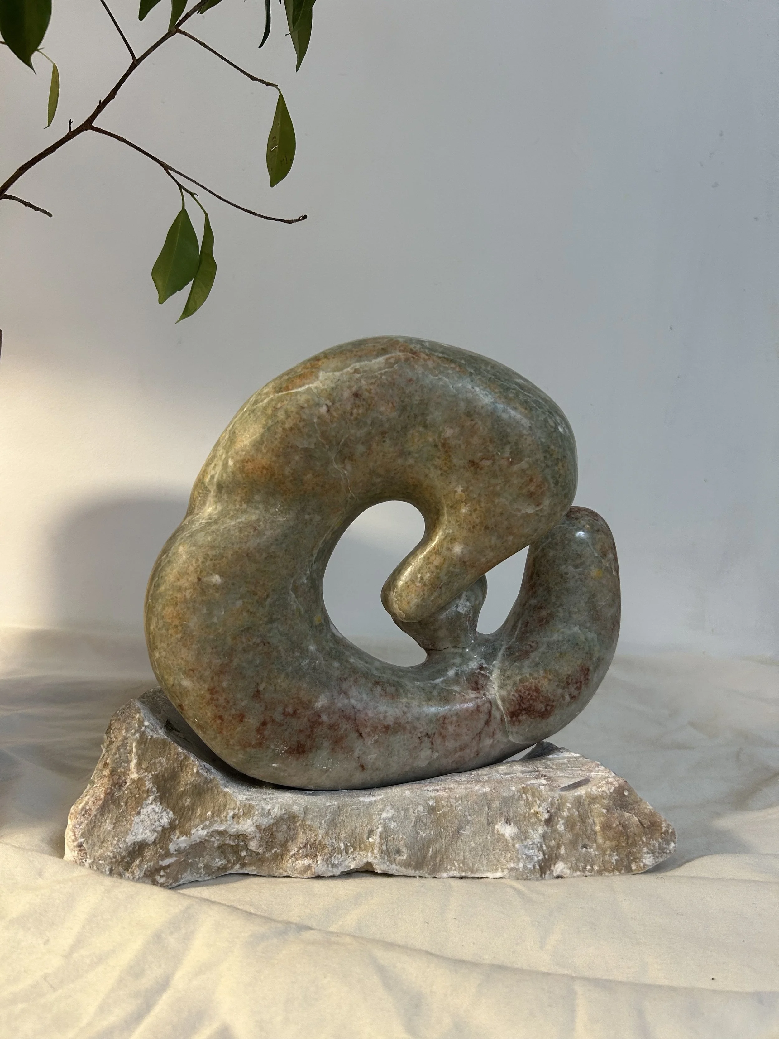 "re: Mr. Selim", 2025 