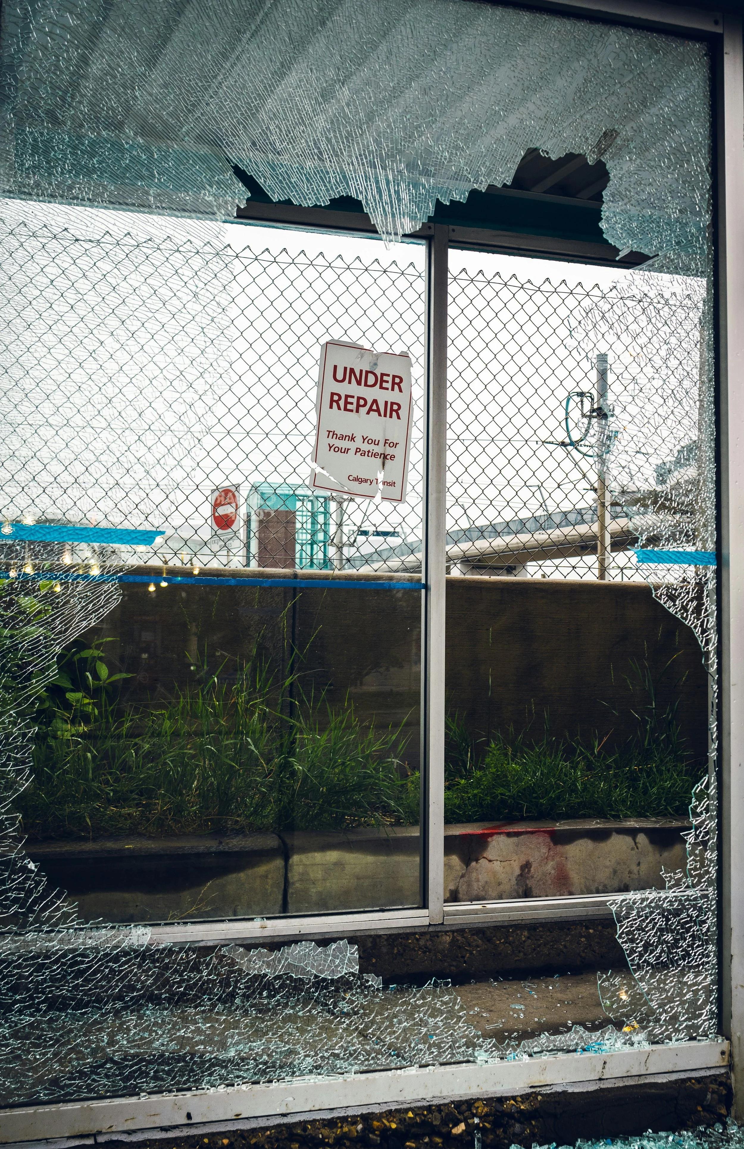 Rebuilding Self-Trust One Percent at a time.