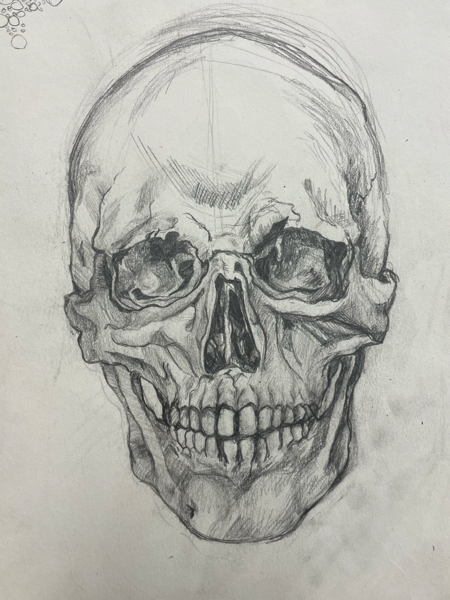"Skull" Graphite, 2024