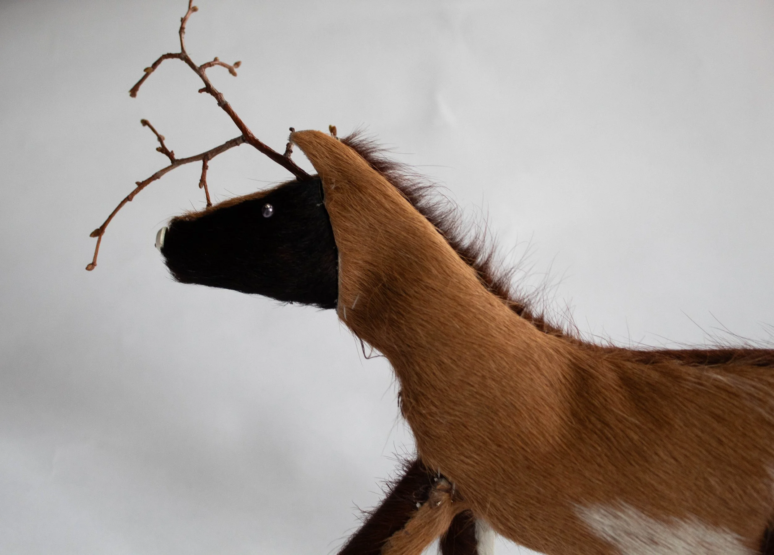 "Softer" 2026 Cowhide, Cottonwood Branch, Black pearls, Thread, Steel Pins