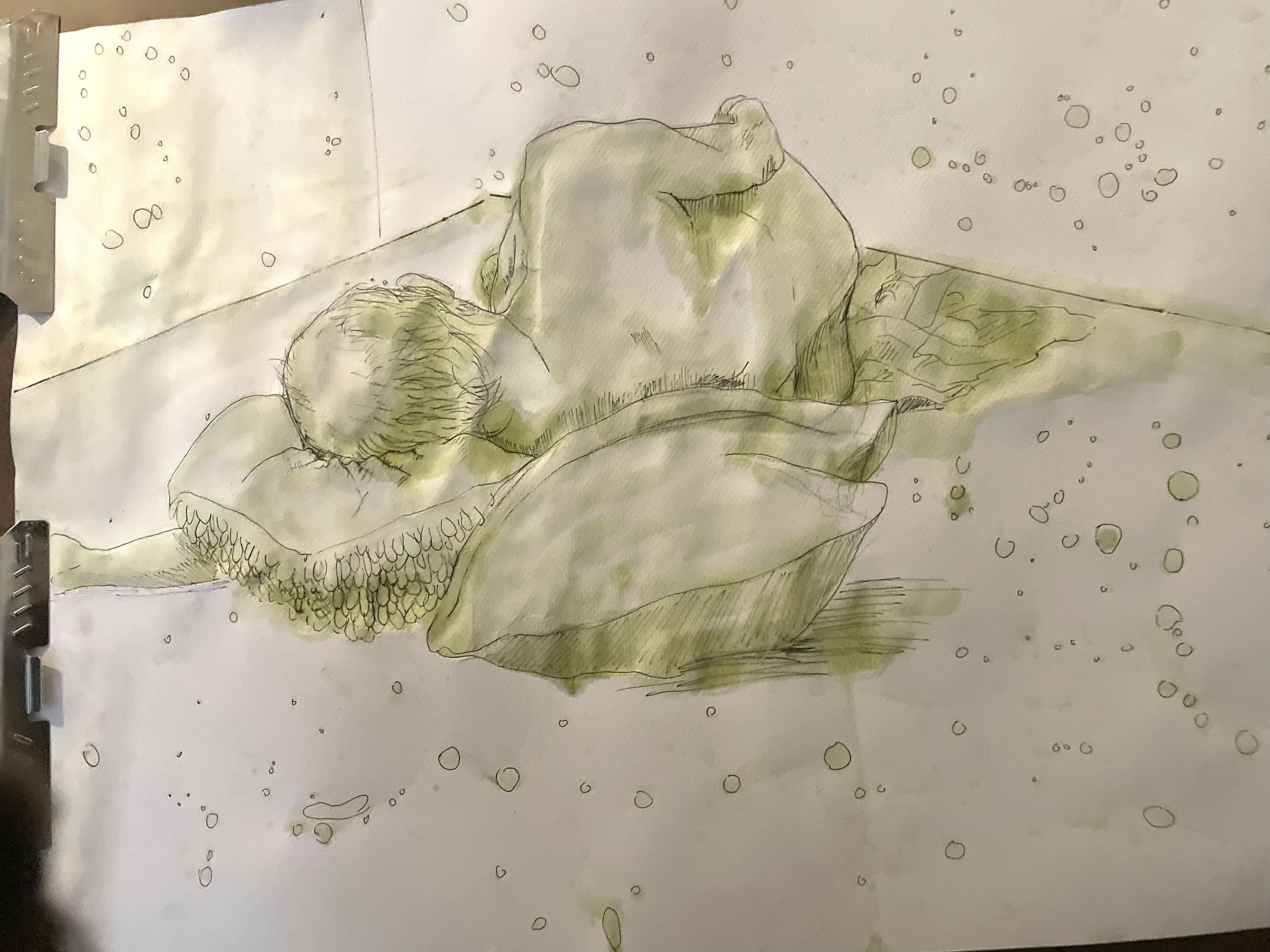 "Study in Matcha" Graphite, Matcha