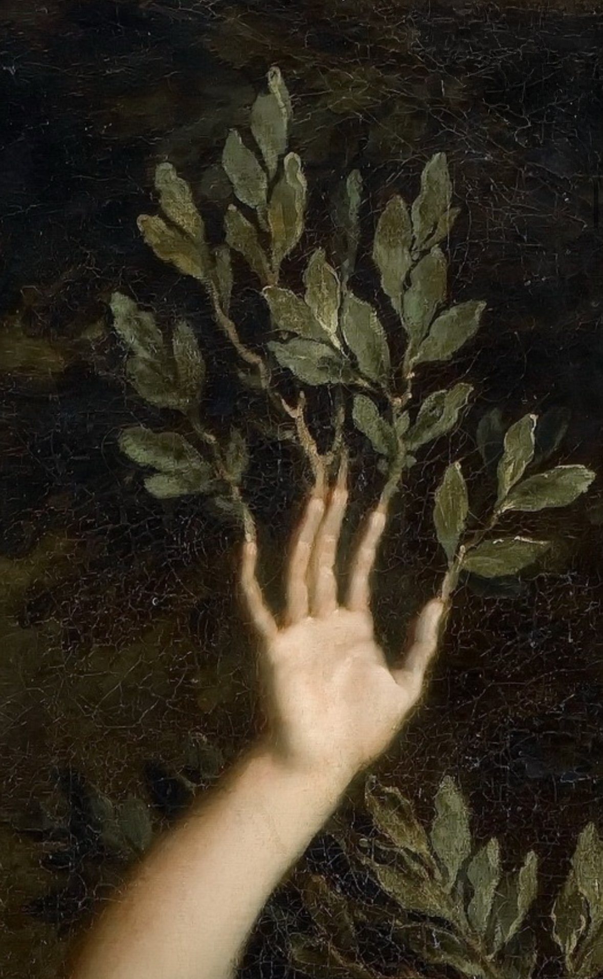 A hand with elongated fingers appears to be sprouting from a plant with green leaves, against a dark background. The image has a surreal, artistic quality.