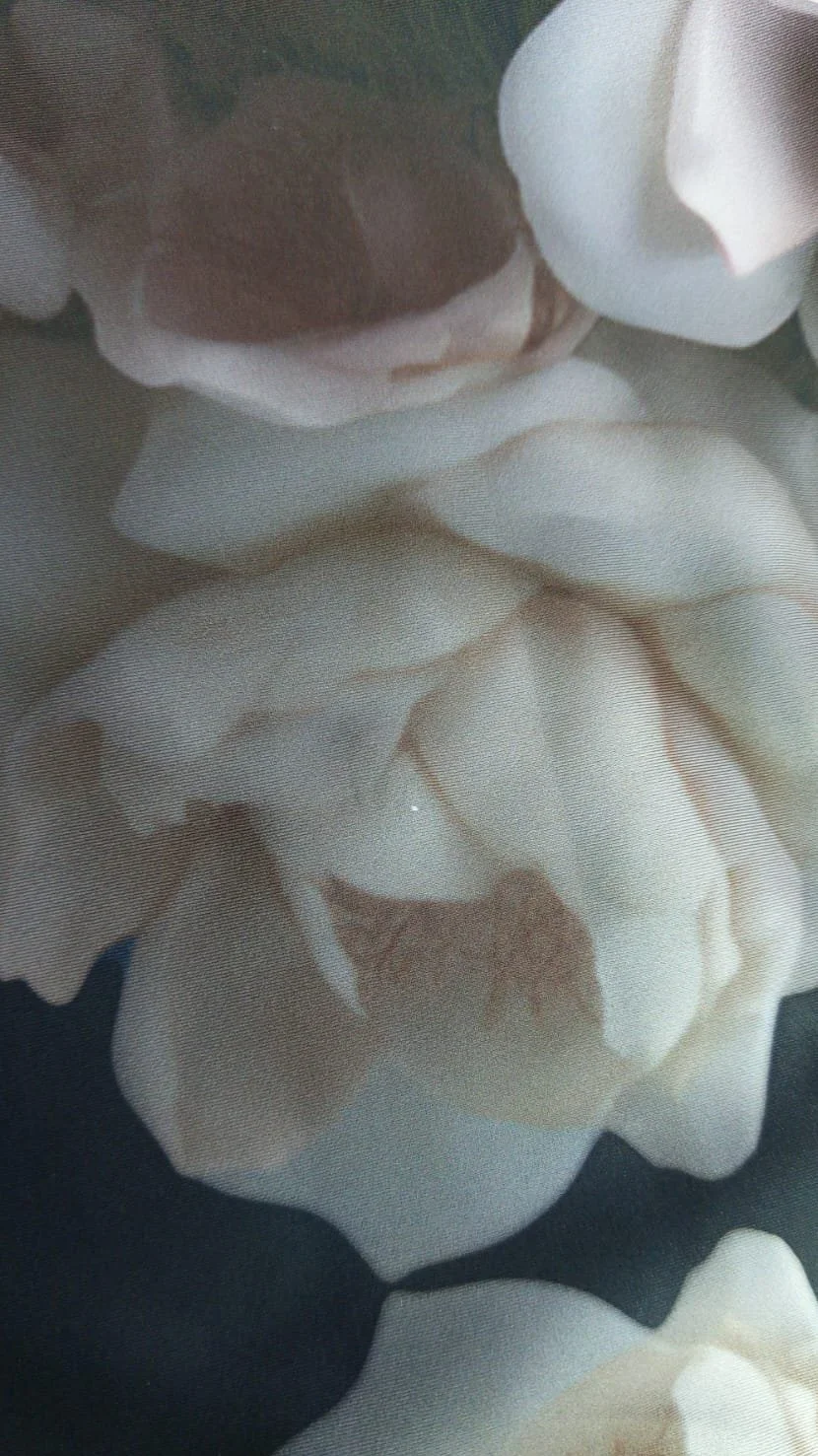 Close-up of white and black flower petals with brown accents.
