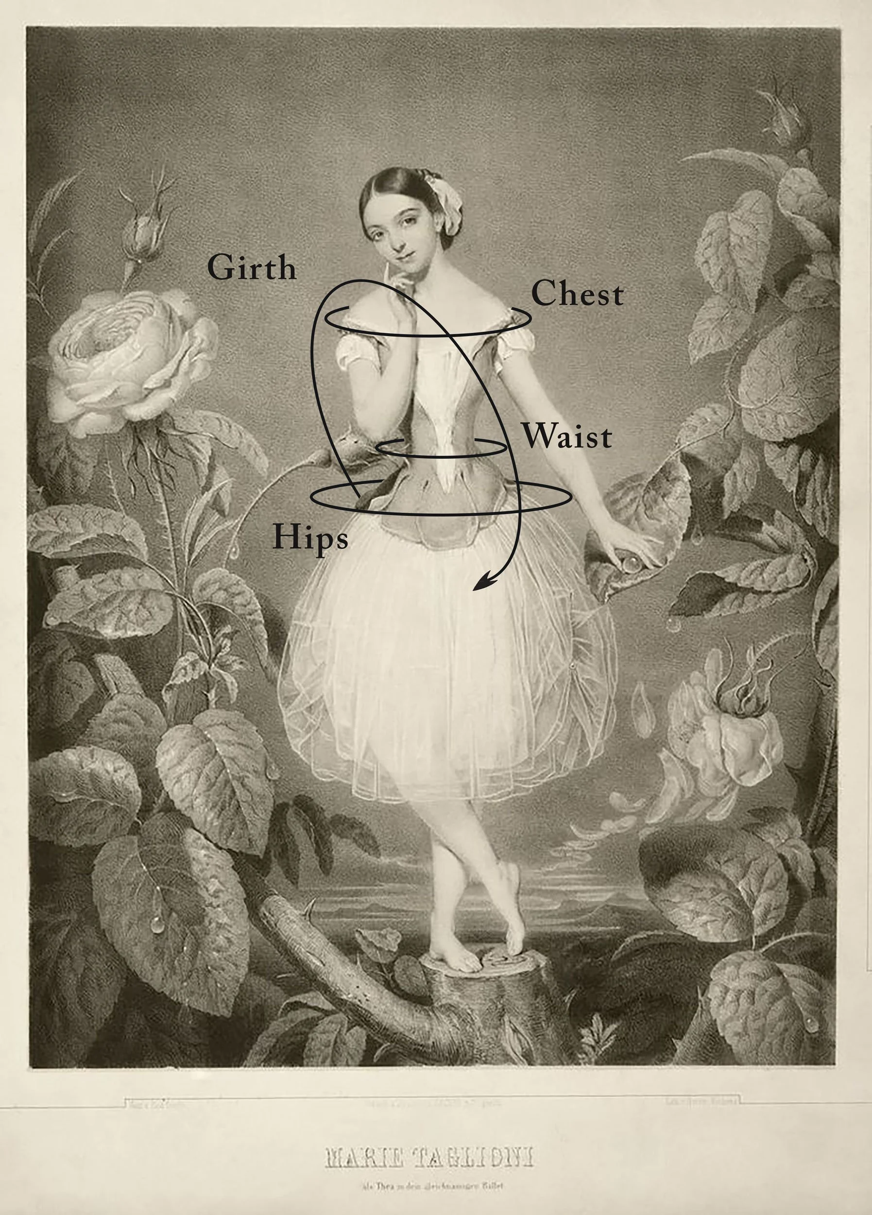 Vintage illustration of a woman standing on a tree branch, surrounded by large flowers and foliage, with labeled body parts including Girth, Chest, Waist, and Hips.