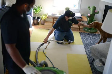 ​The remarkable brain of a carpet cleaner who speaks 24 languages