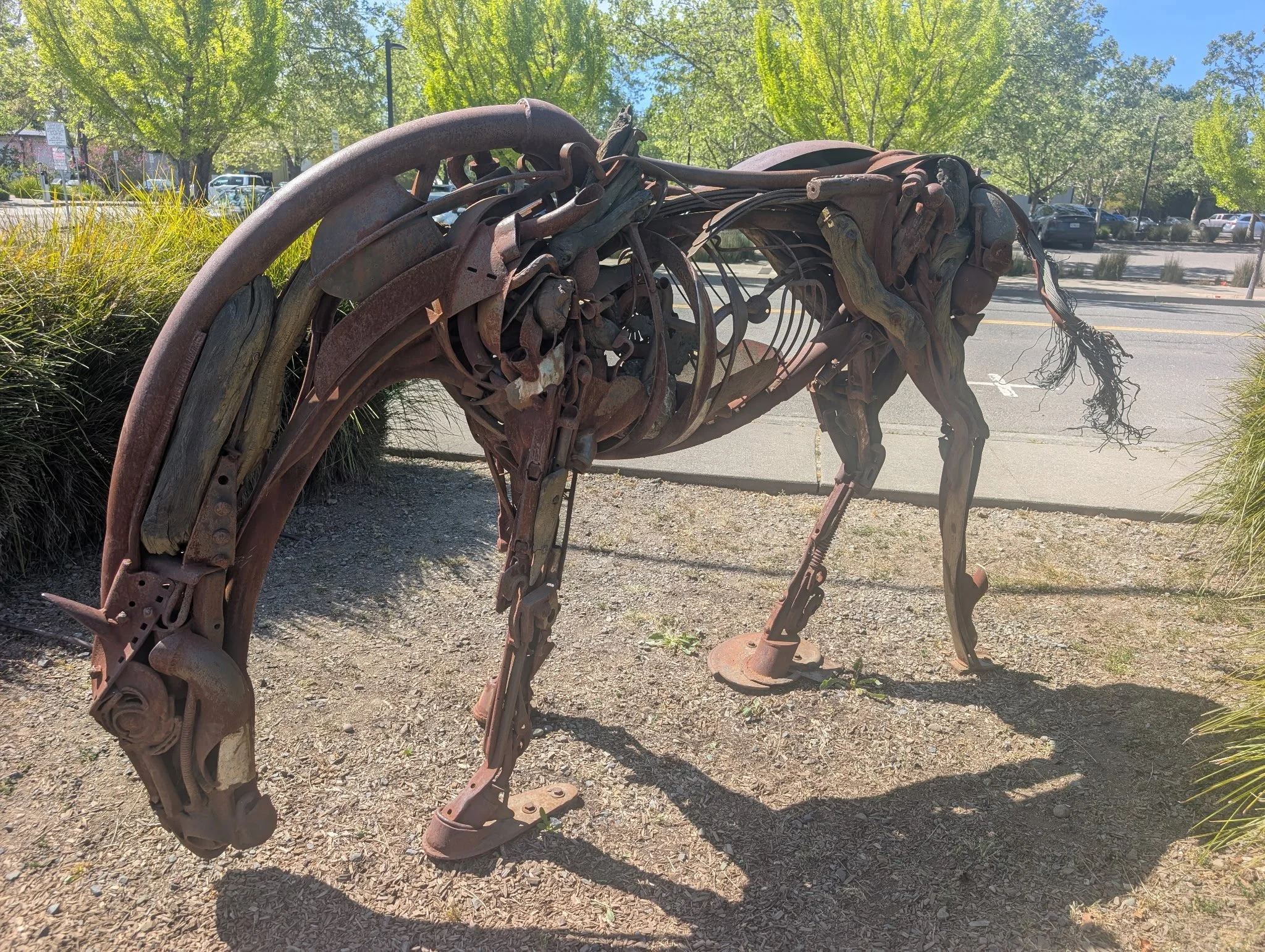 Iron: Friend or Foe?