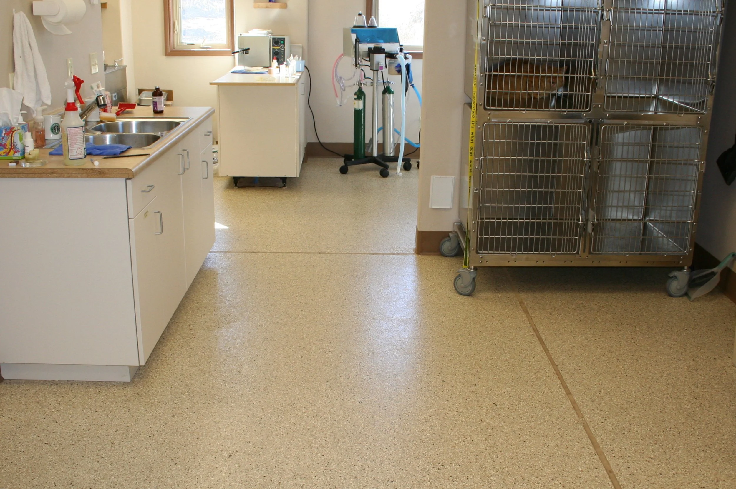 Silverthorne Veterinarian Clinic Medical Flooring.JPG
