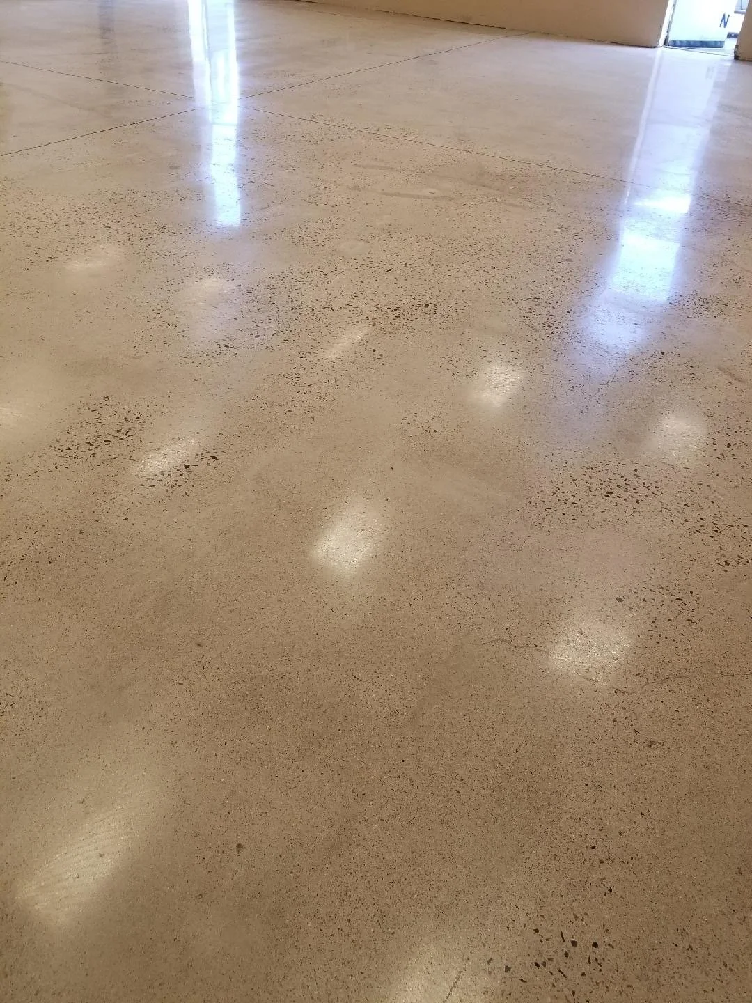 Cafeteria Diamond Polished Concrete Floor.jpg