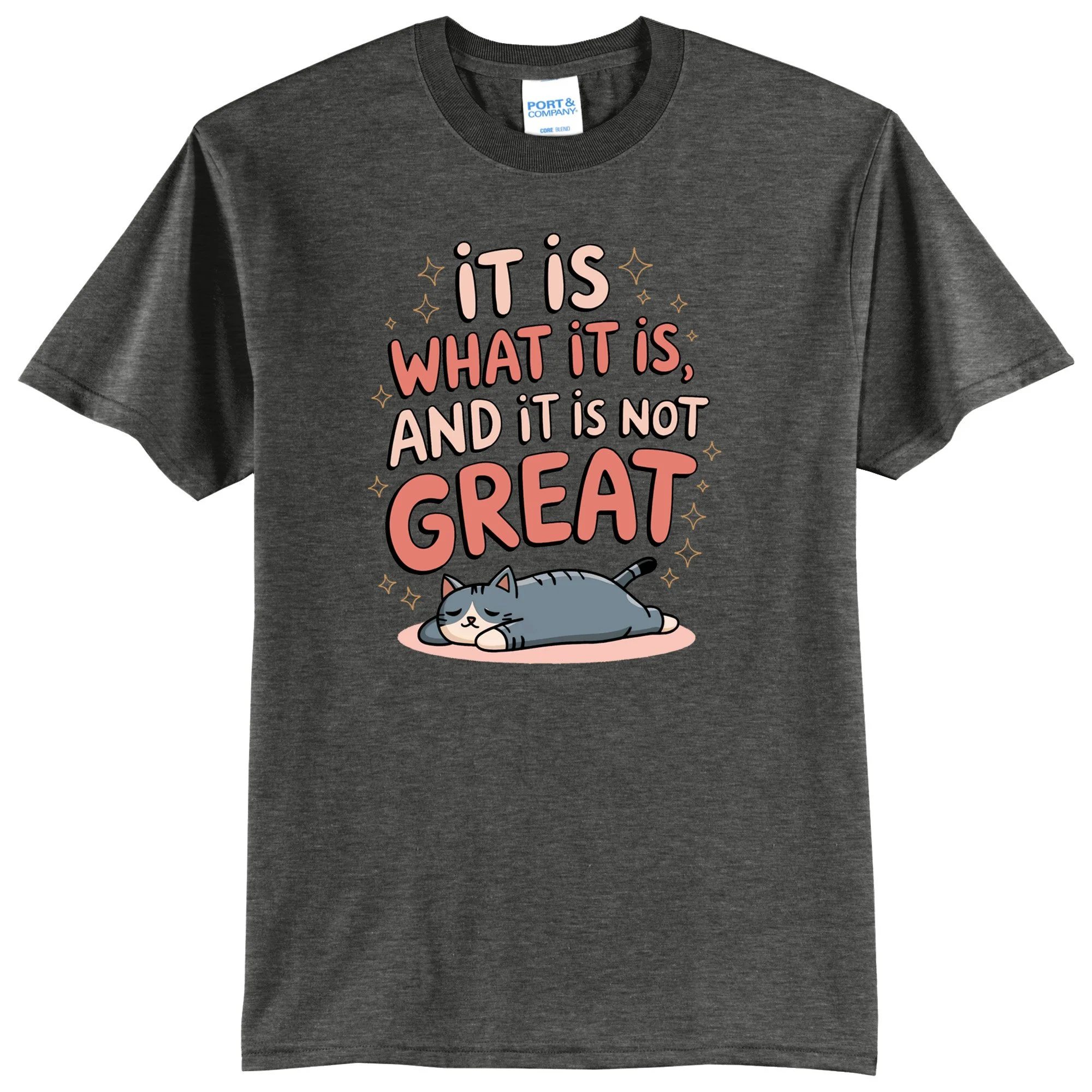 It Is What It Is and It Is Not Great Graphic Tee Shirt
