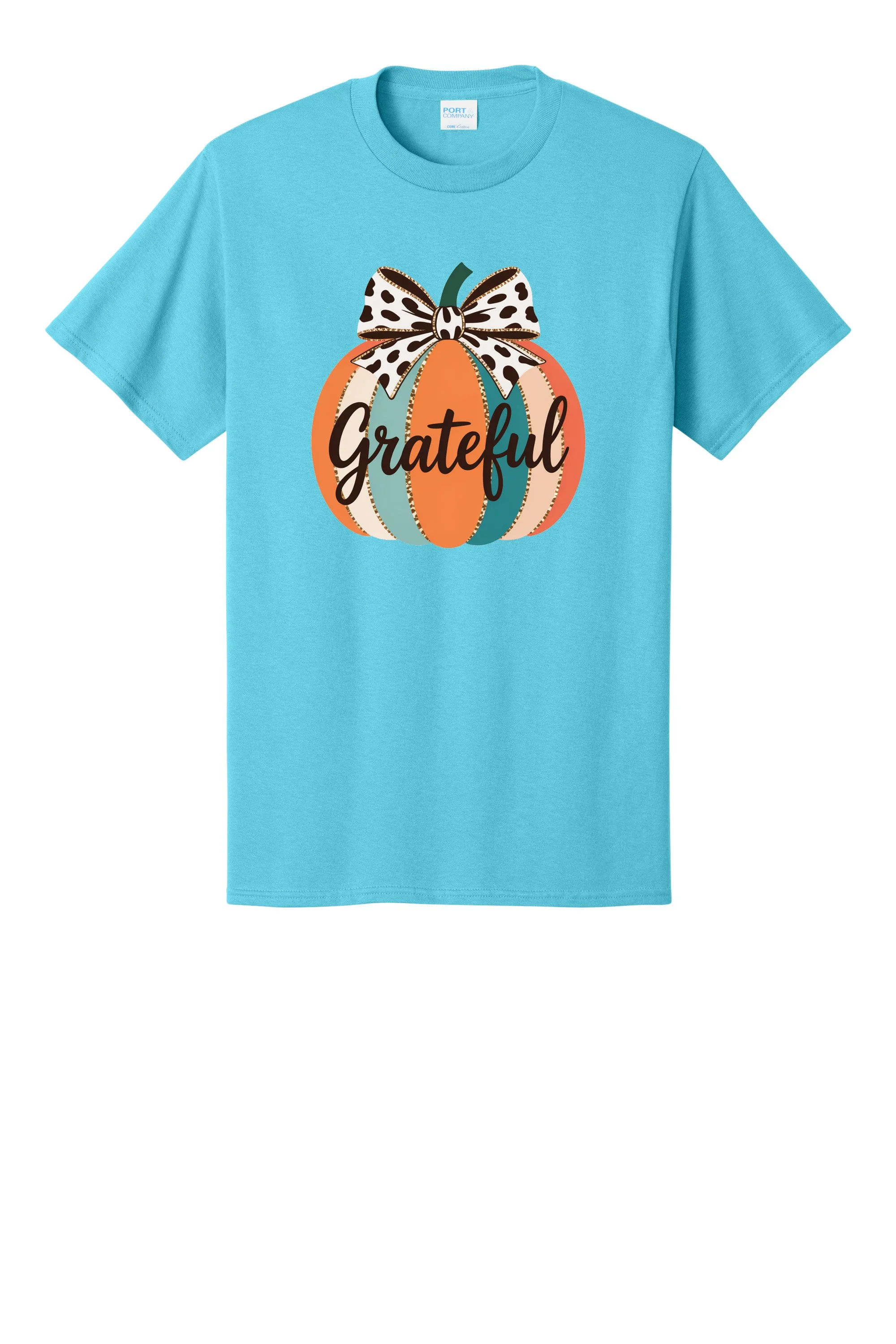 848 PC55 AQUATIC BLUE.jpg