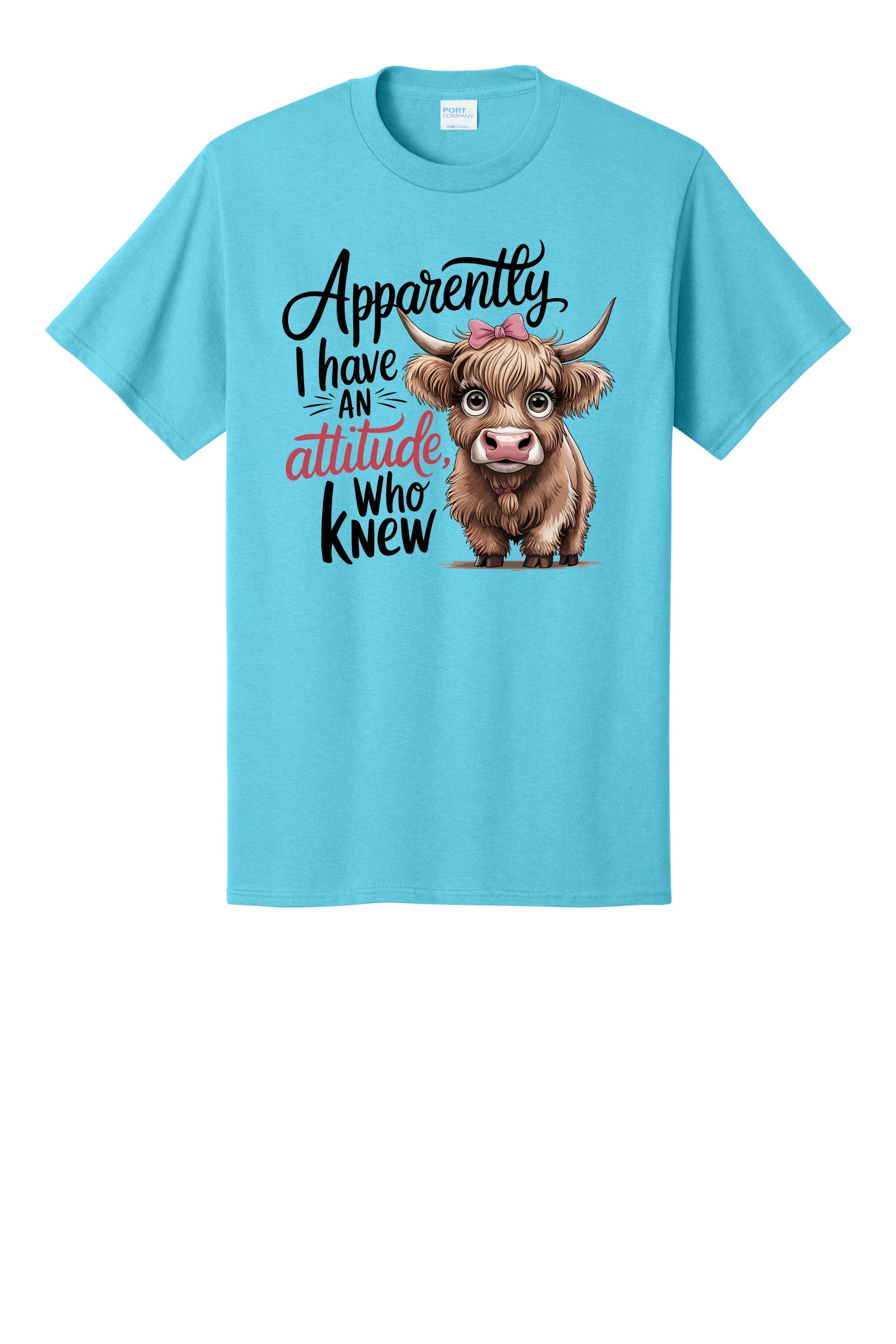 2 (2) PC55 AQUATIC BLUE.jpg