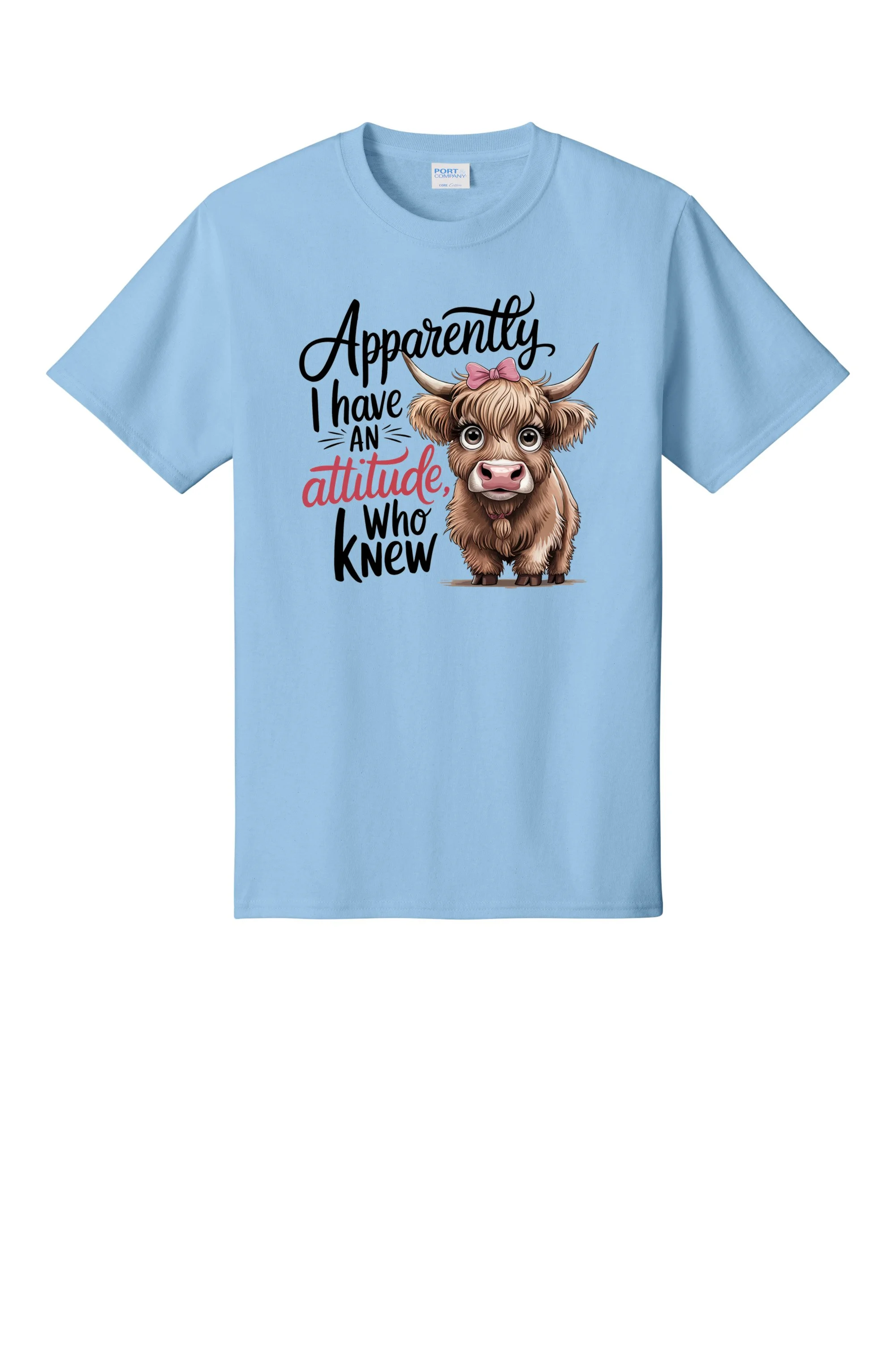 2 (2) PC55 LIGHT BLUE.jpg