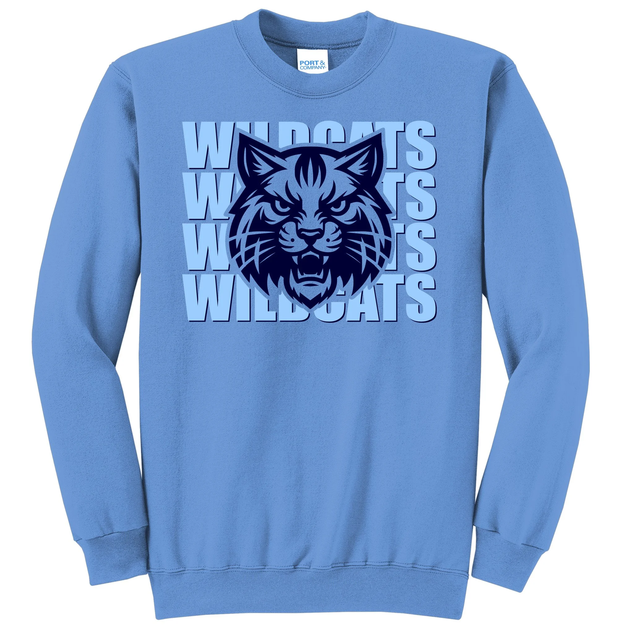 wildcats 1 PC90 CAROLINA.jpg