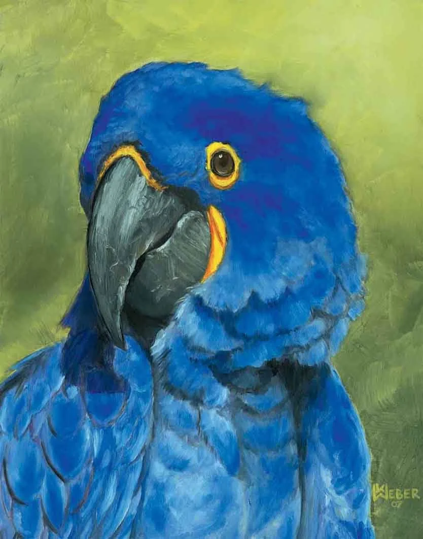 Painting of a blue macaw bird with a yellow ring around its eye and a dark gray beak, against a green background.