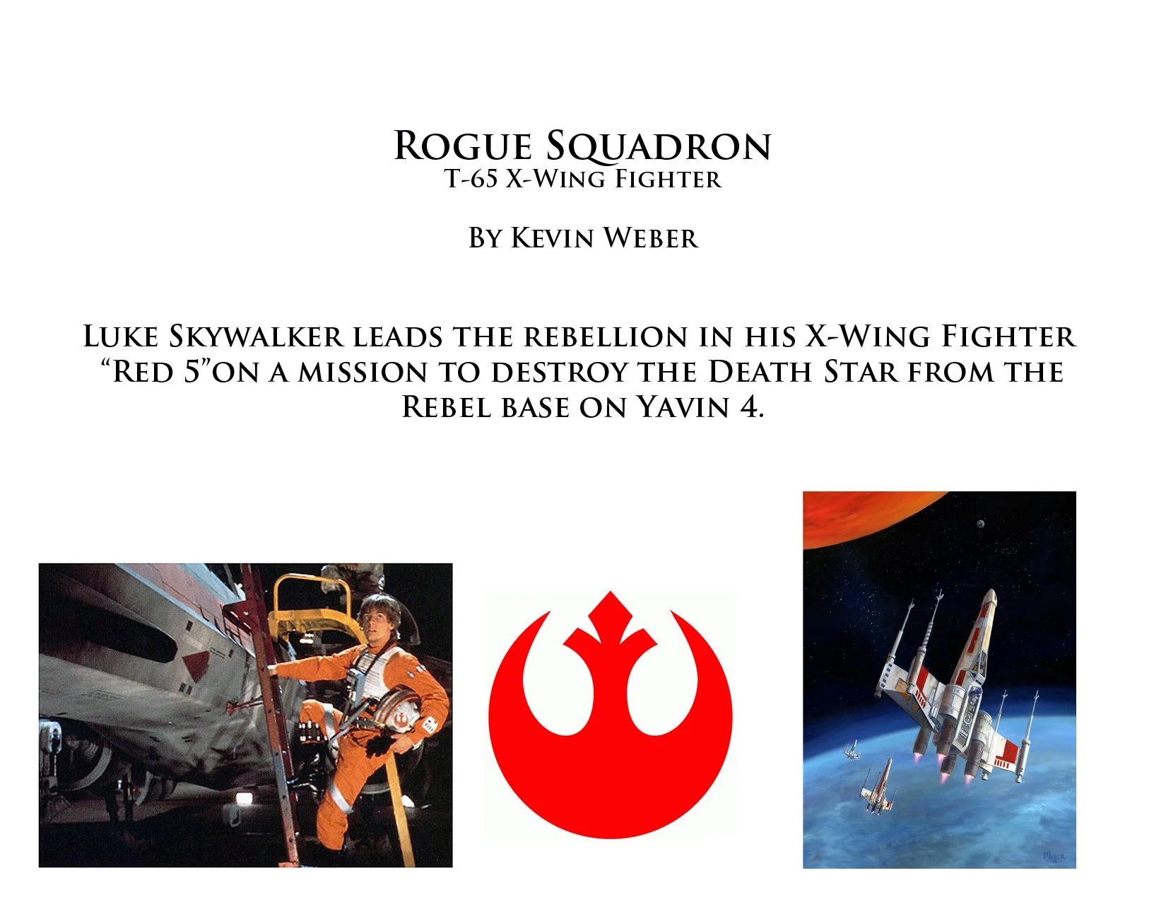 Rogue Squadron info copy.jpg