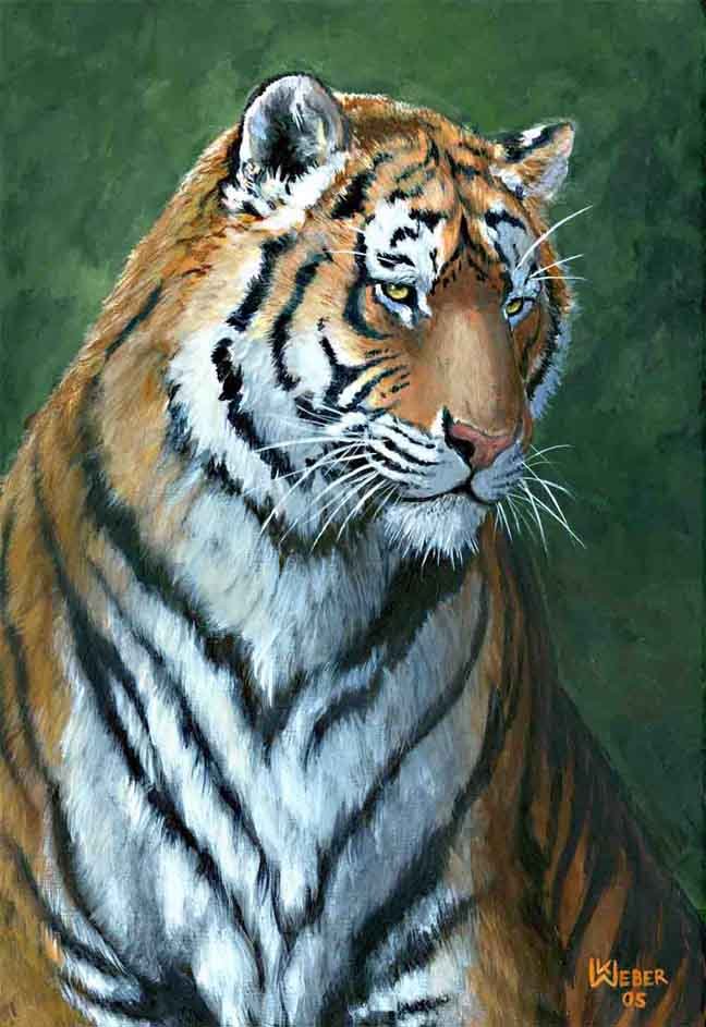 Siberian Tiger