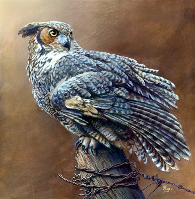 Great Horned Owl