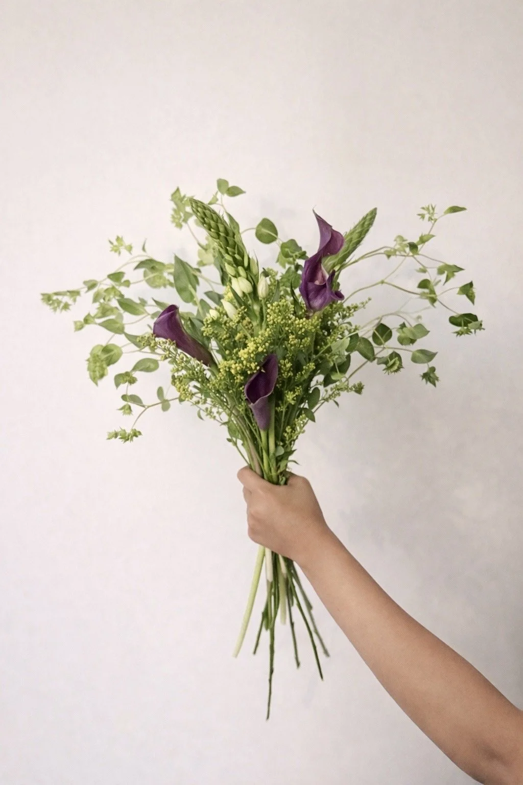 Hand holding a bouquet of mixed green plants and purple flowers against a plain white background.