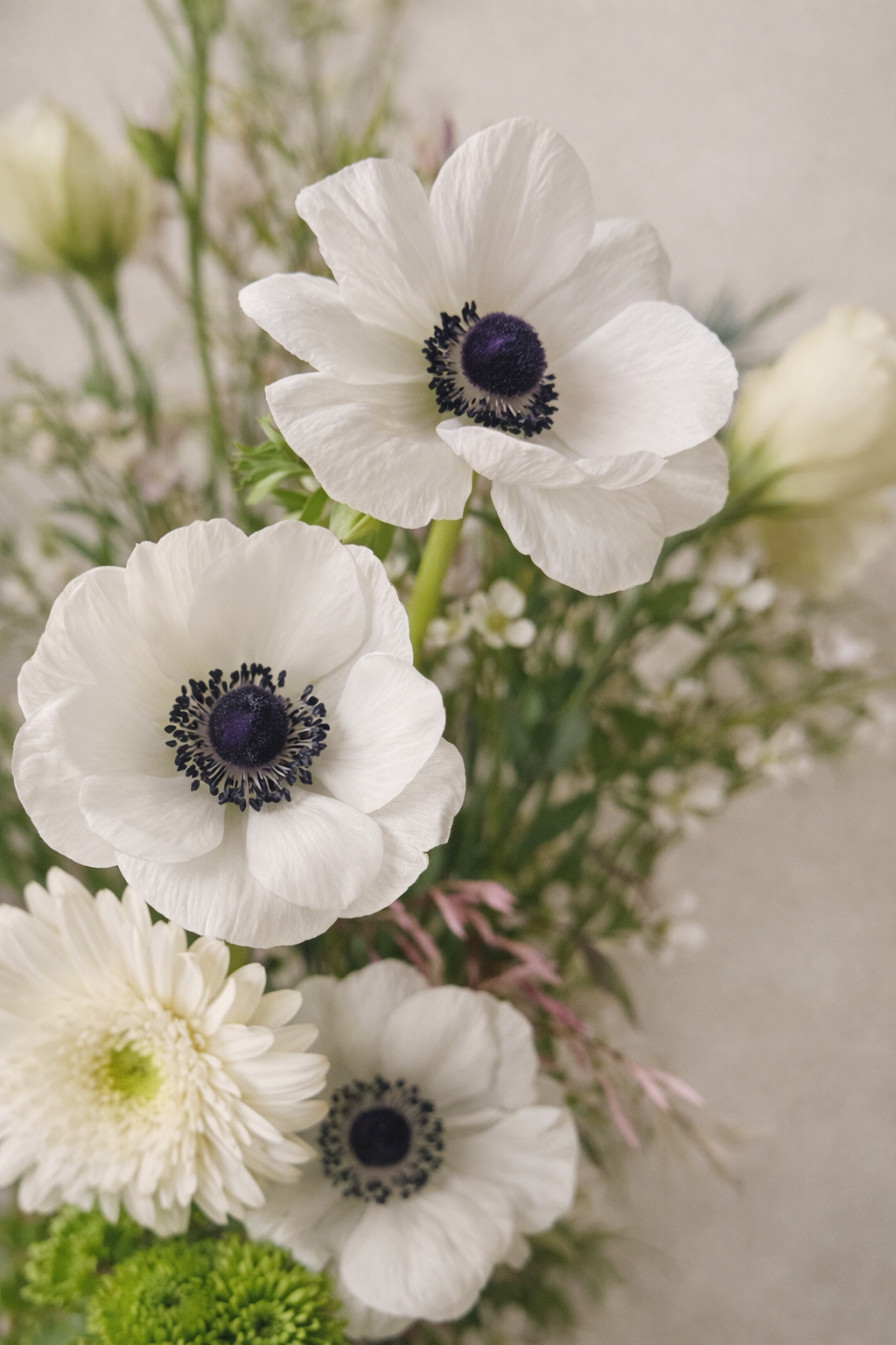 Close-up of white flowers with dark centers in a bouquet