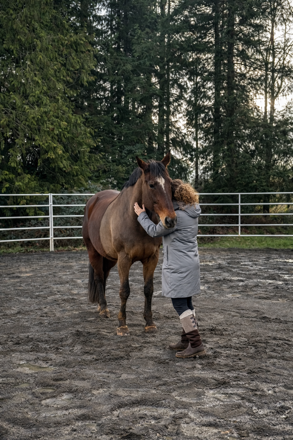 Person hugging a brown horse in an outdoor paddock with trees and a metal fence in the background.