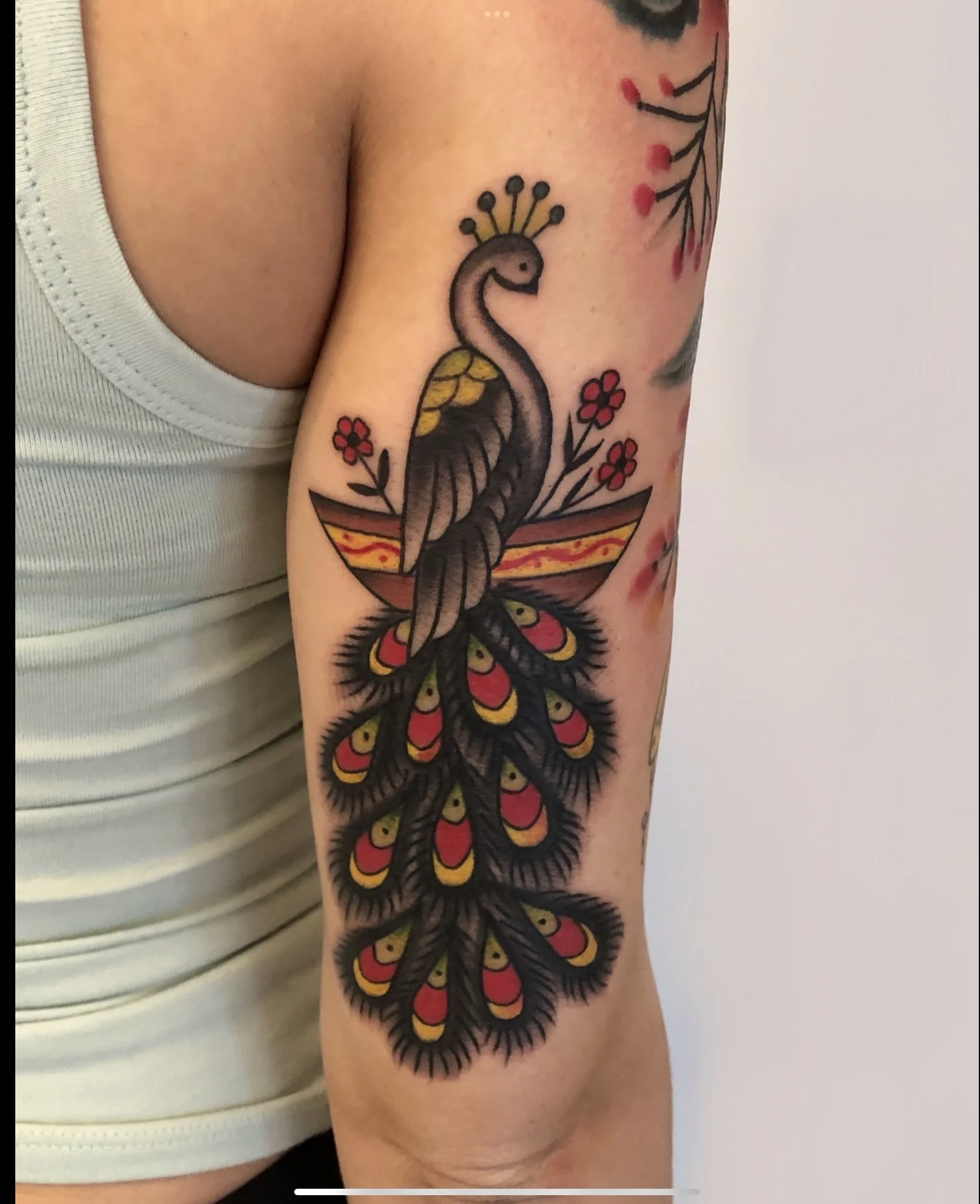 Traditional peacock tatttoo by Jennifer Lynn at Crown Jewel Tattoo in Tampa Florida 
