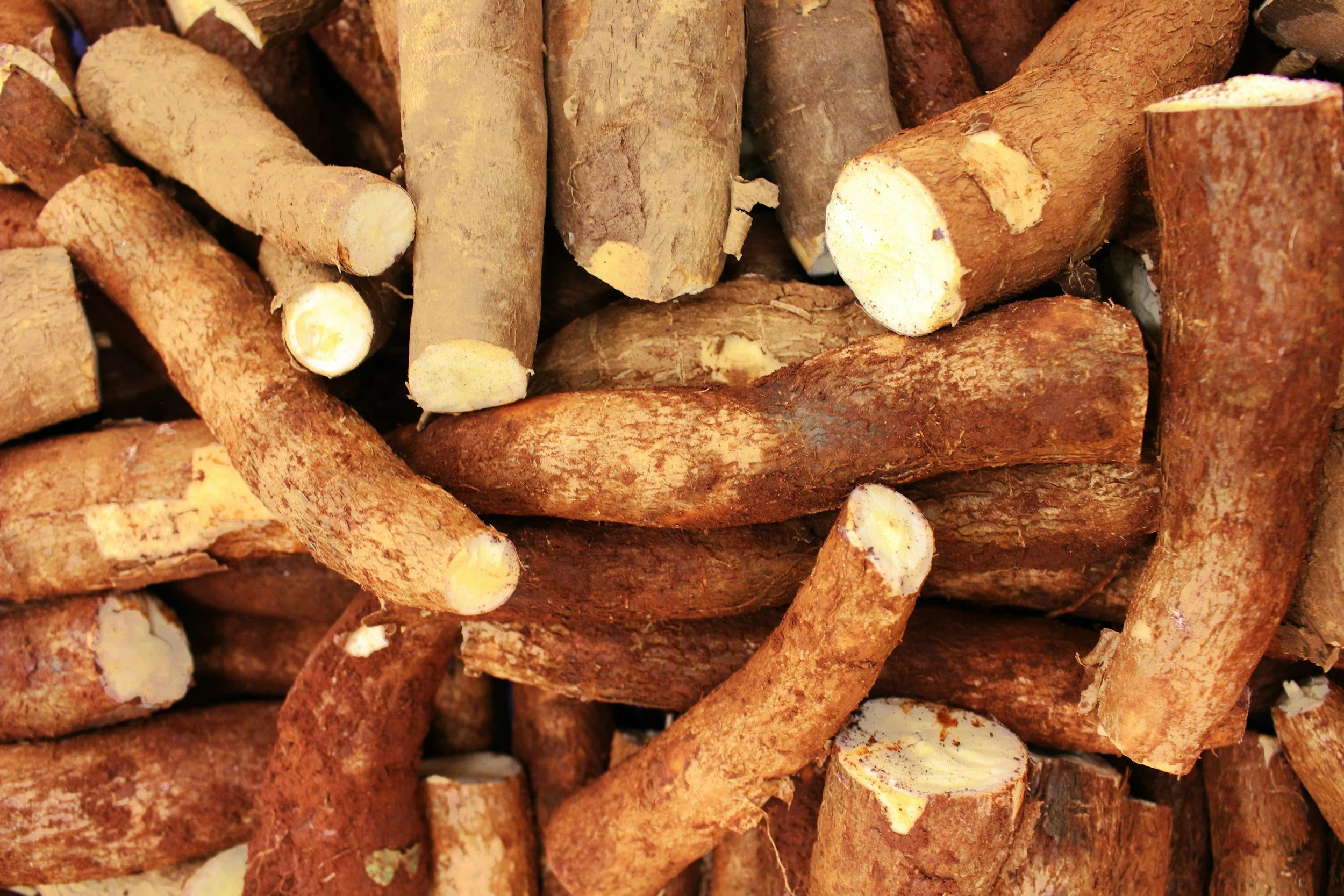 A pile of sliced yams with rough, brown skin and creamy white flesh.