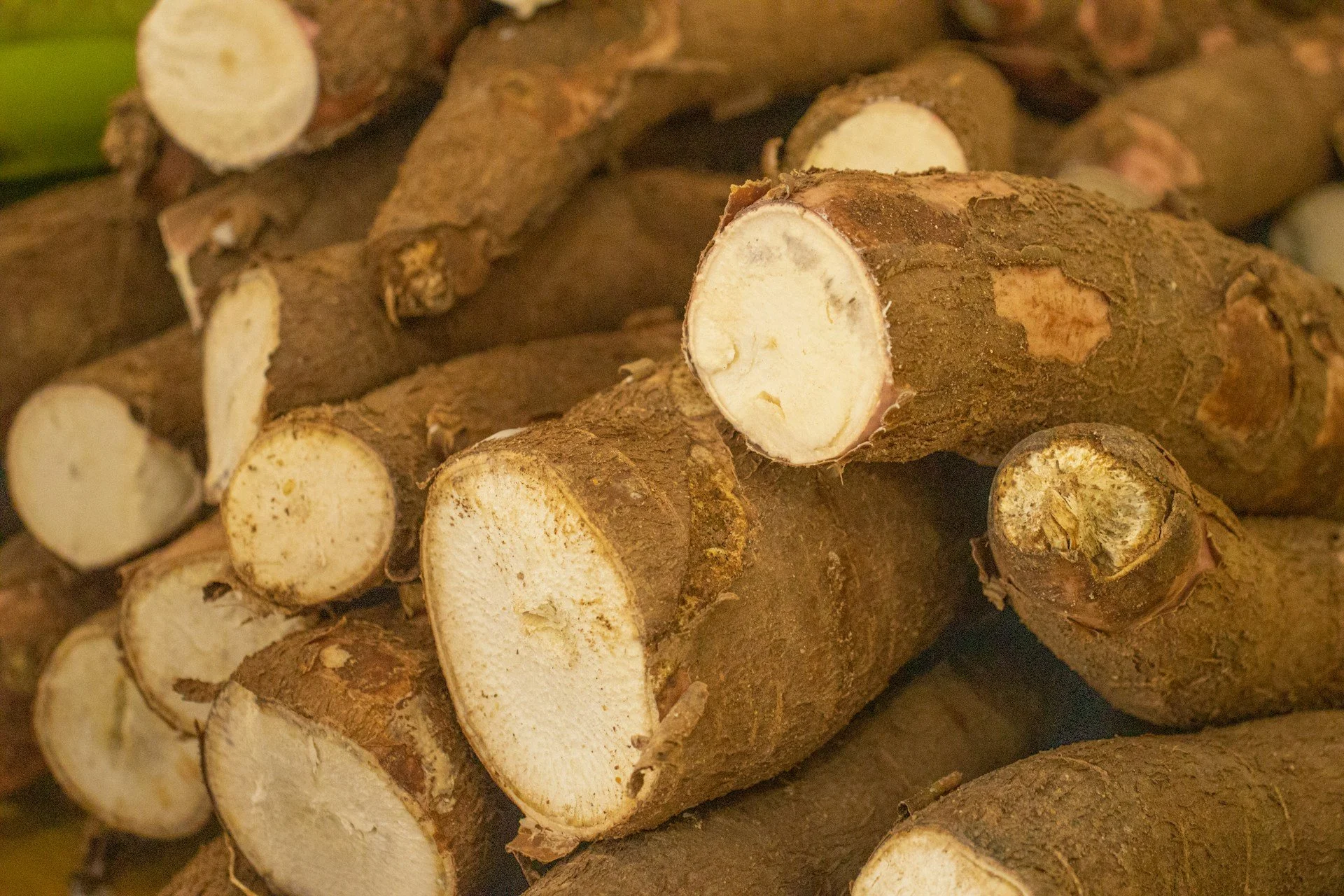 What is Cassava Processing and Why is It Important?