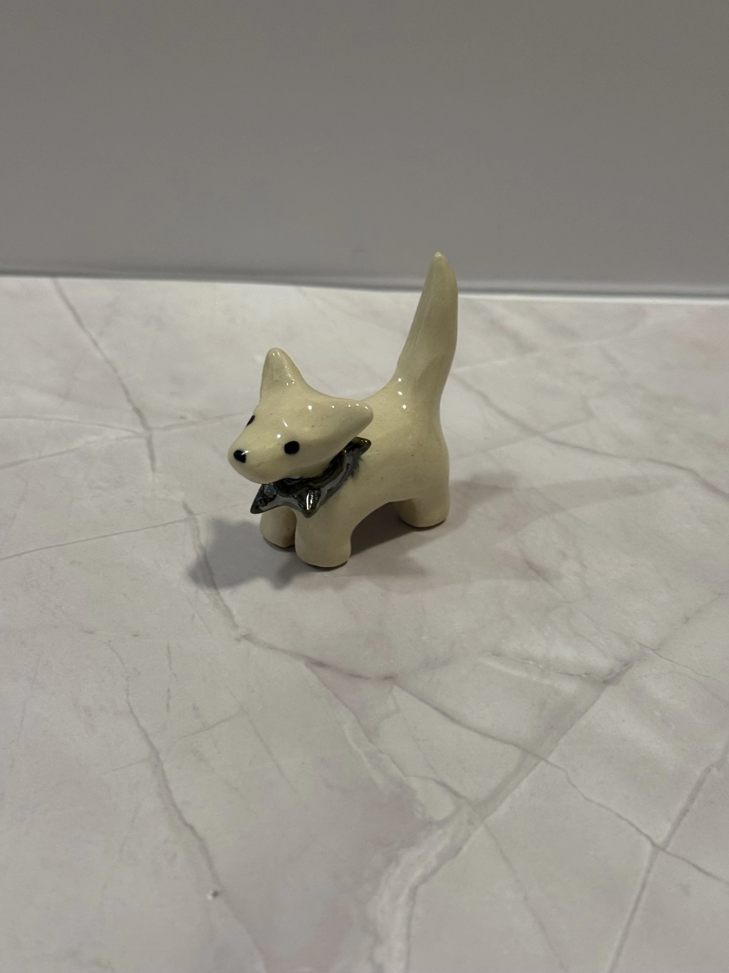 IMG_0586.jpeg