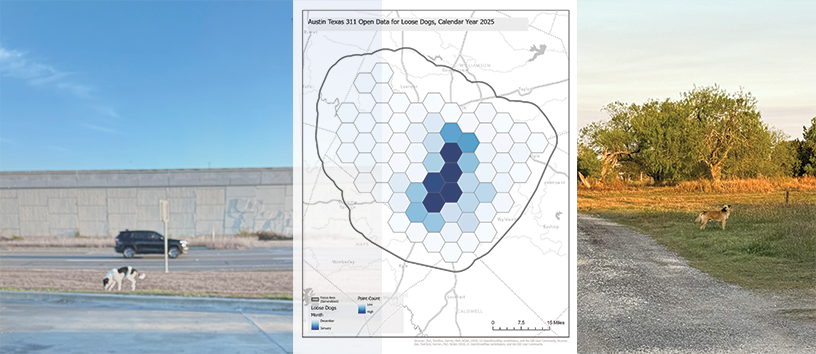 This is the Capstone Project for this semester for Geography 778: Advanced Animal Locator Application.
