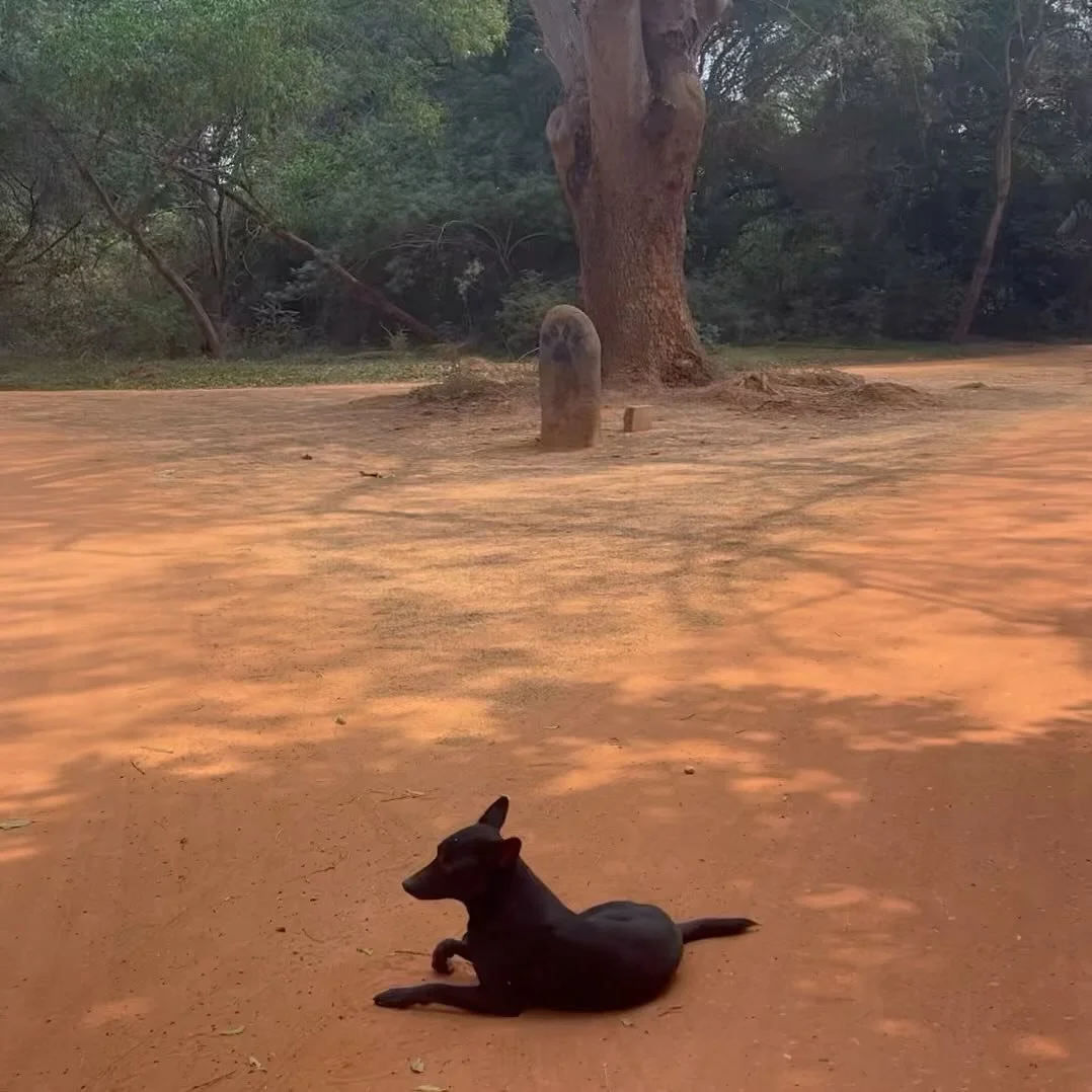 I ran 3,431 miles in 2023. I run for love and sanity and joy and meditation and revival. I ran through India and across all of the states I lived in&mdash; from high elevation mountain towns in the southwest, deserts with no pavement in California, t