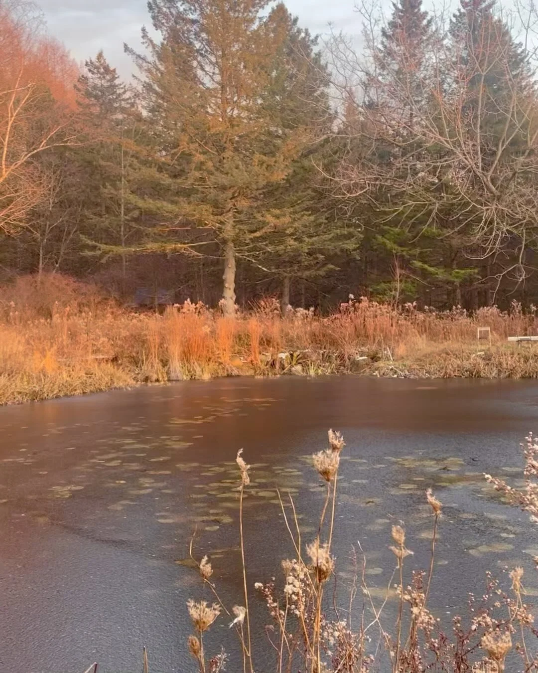 warming my bones by the fire with my friends and cooking and visioning and in awe and reverence and deep appreciation, amen
