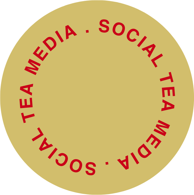 Professional social media management for small business owners working remotely