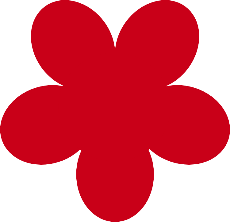 Social media manager offering full management and DIY support packages