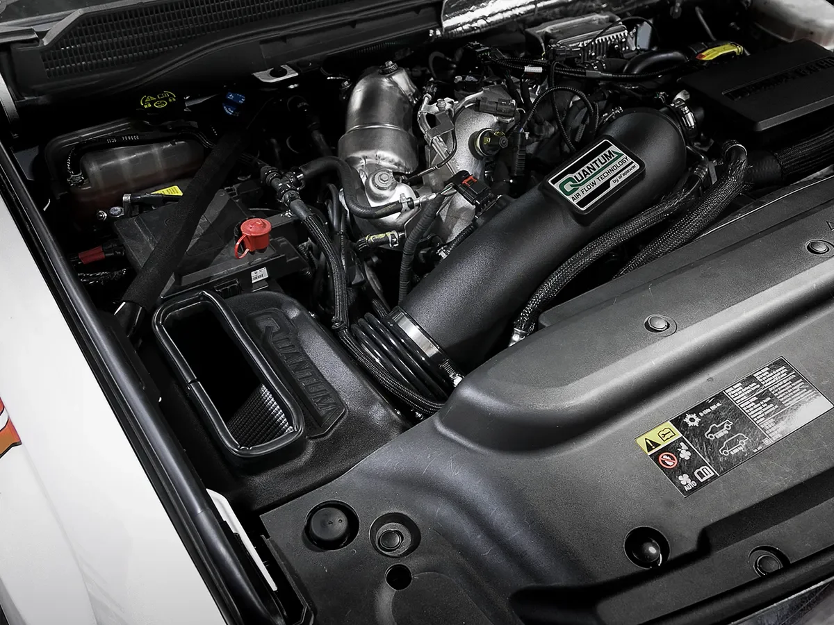53-10007d_ls1.webp