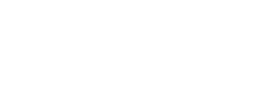 Black and white logo with the words 'BDS Suspension'
