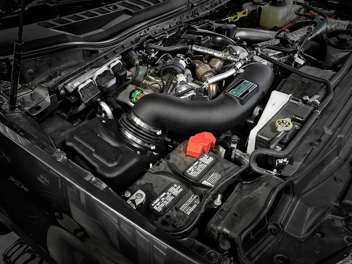53-10004d_ls1.webp