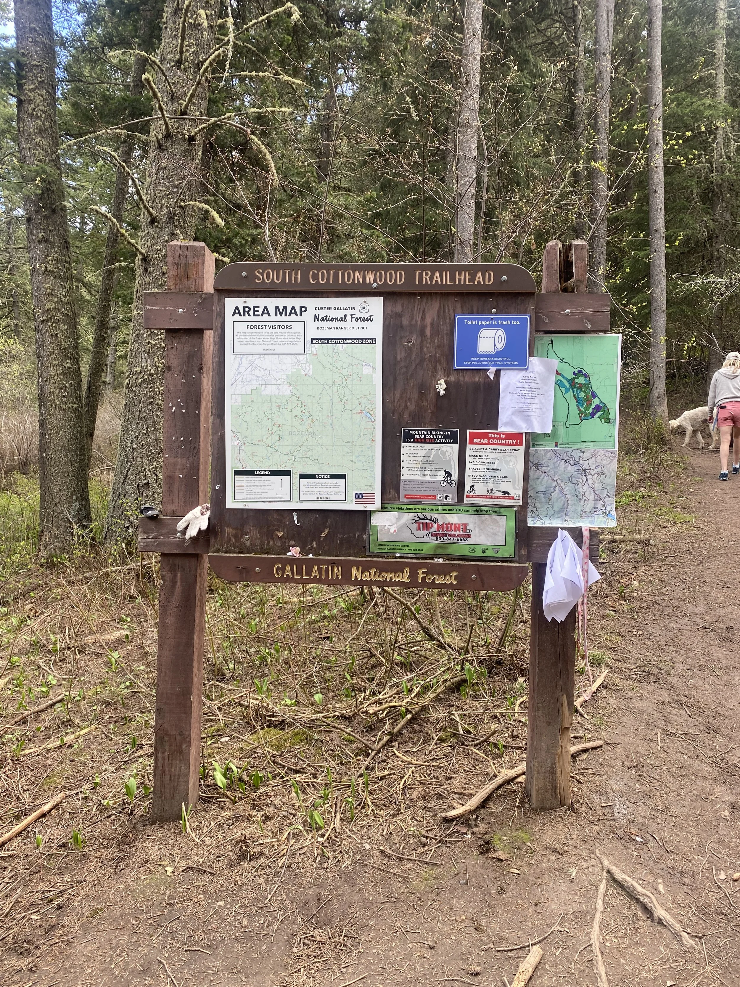 South Cottonwood Trail
