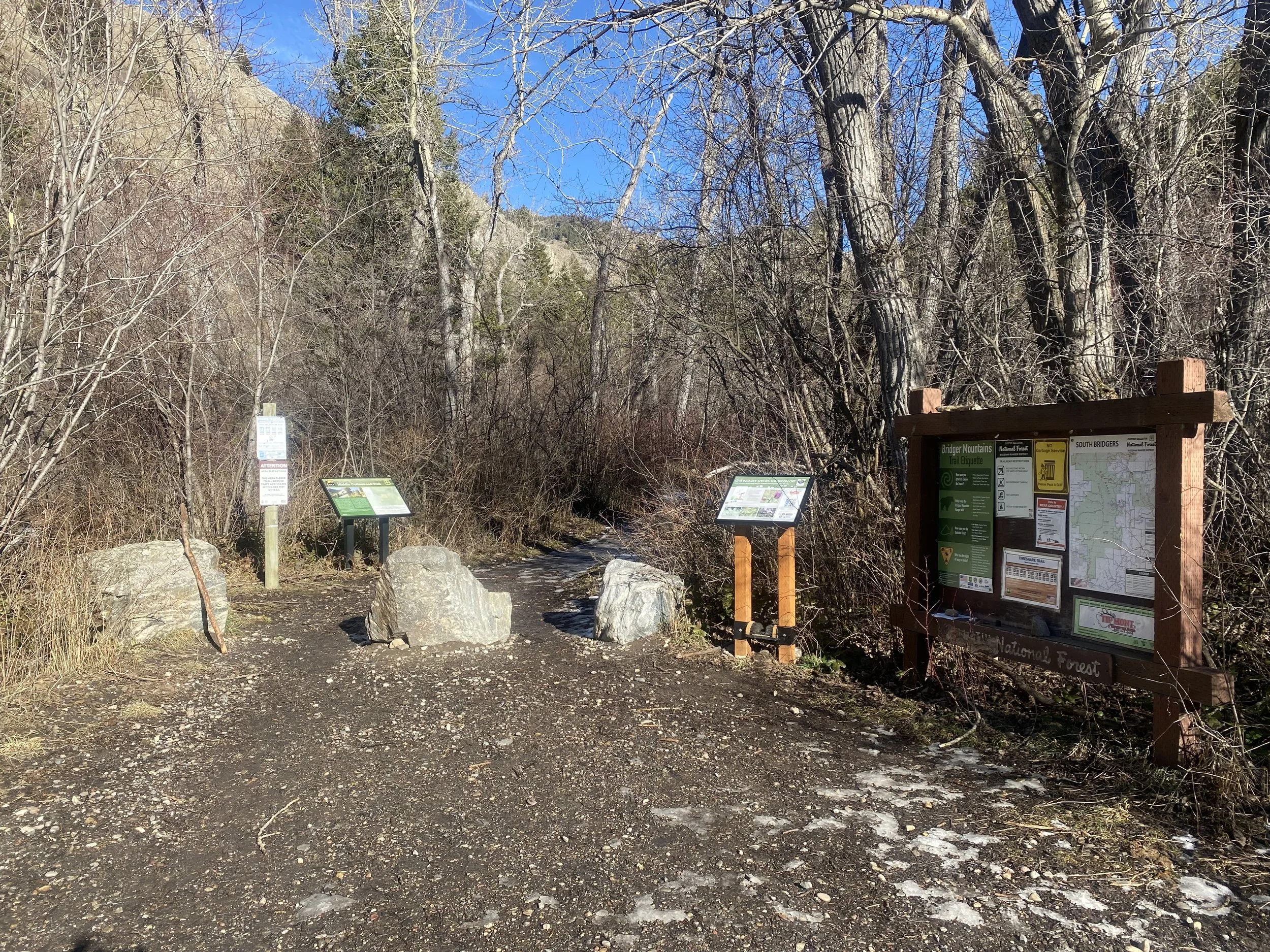 Middle Cottonwood