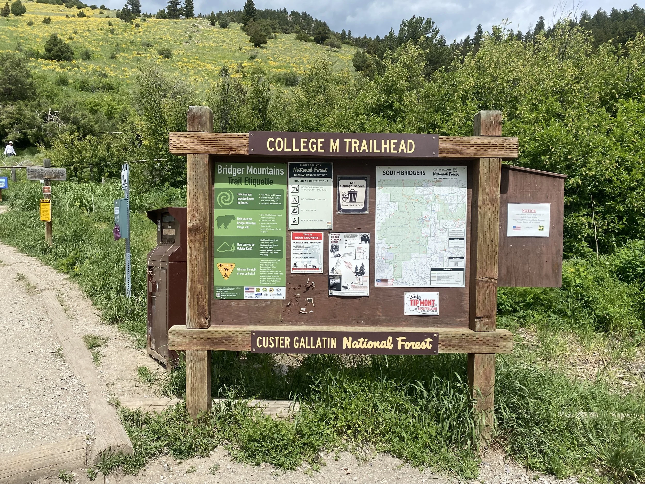College 'M' Trail