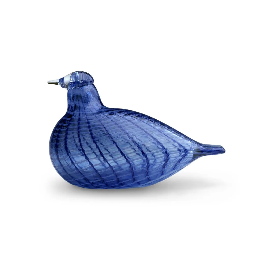 Blue_bird copy.jpg