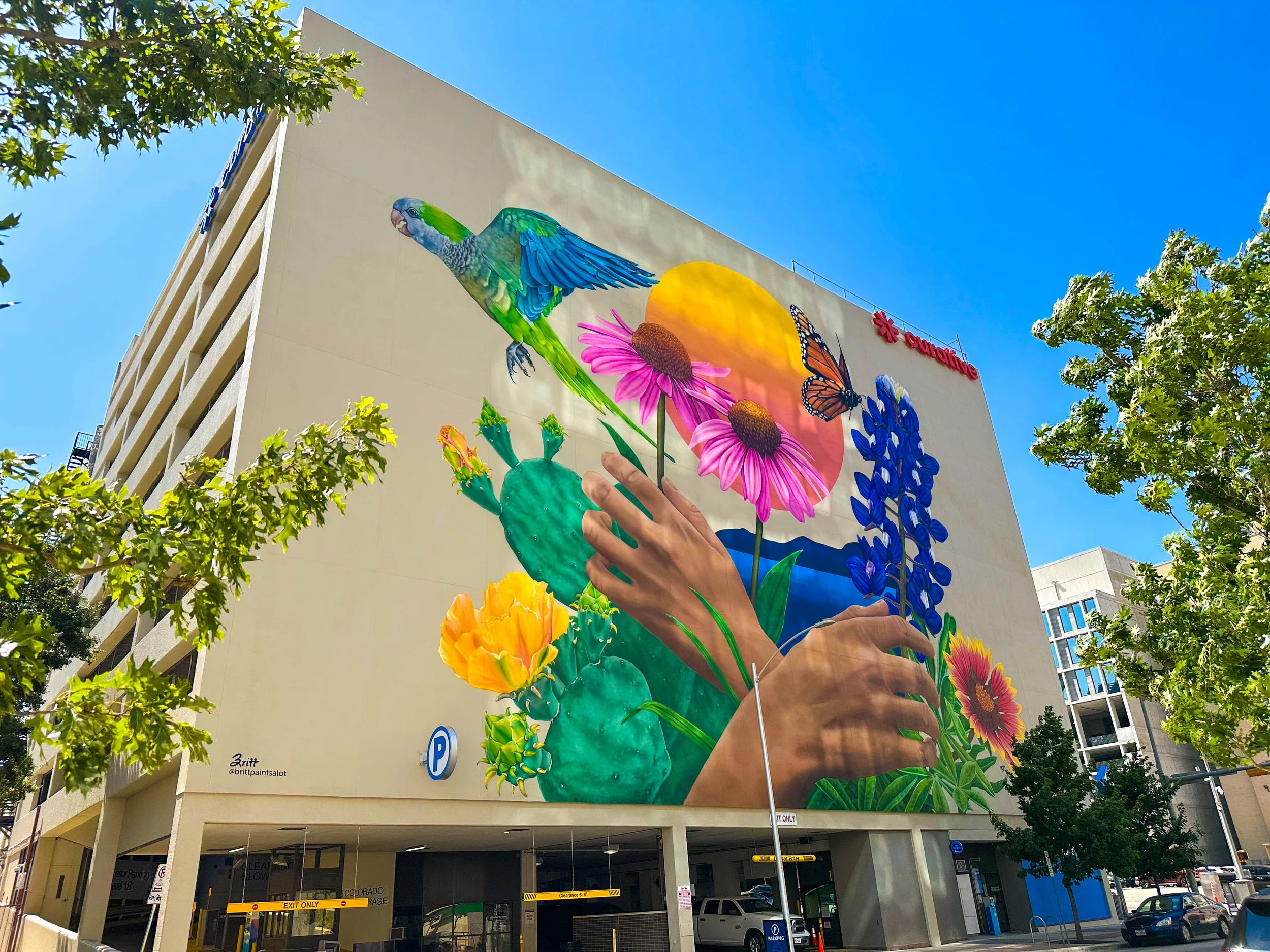 A colorful mural on the side of a building features a large blue and green parrot flying above pink and yellow flowers, a butterfly, a cactus, and a mountain silhouette with blue skies.