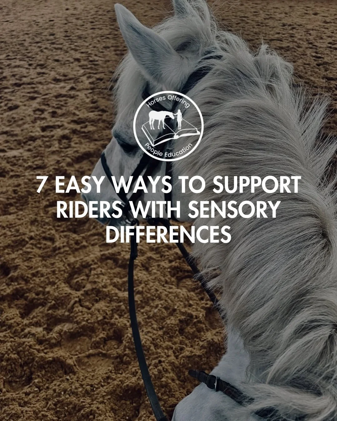 Not every rider experiences the barn the same way. 

As someone with a visual and hearing impairment, plus over a decade of anxiety, the barn is my sanctuary&hellip;and, at times, an incredibly overstimulating place.

For riders who experience height