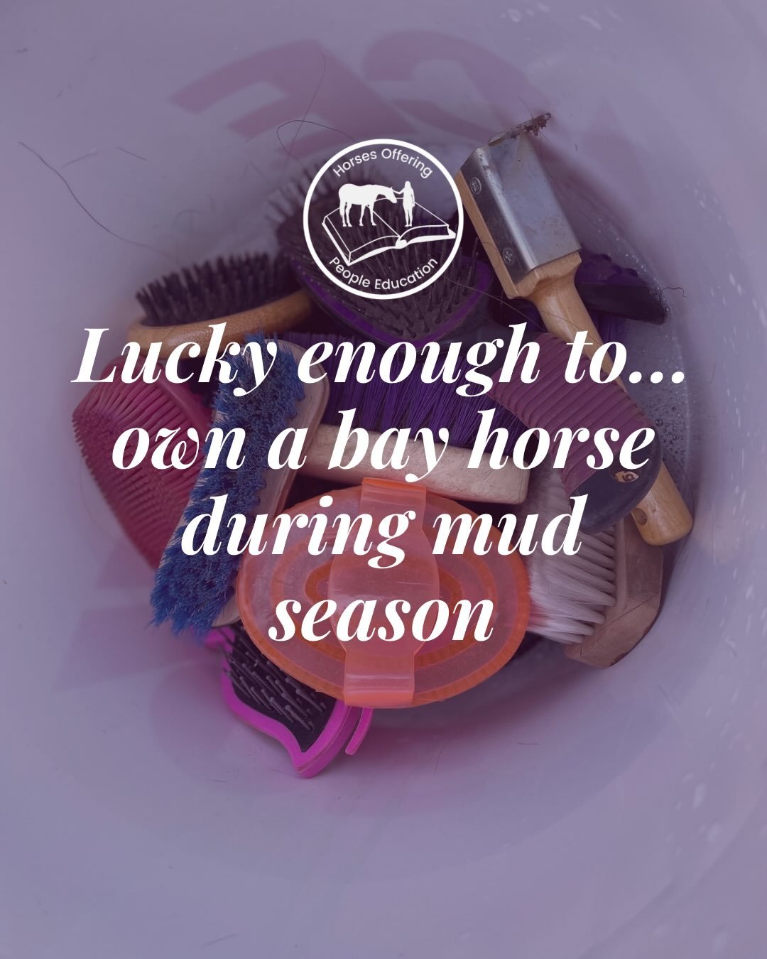 It&rsquo;s officially spring here in New England aka mud season aka the time of year where my horses and the ground are the same color&hellip;IYKYK 😂

Side note: My grooming tote is long overdue for an upgrade! Share your favorite brushes &amp; othe