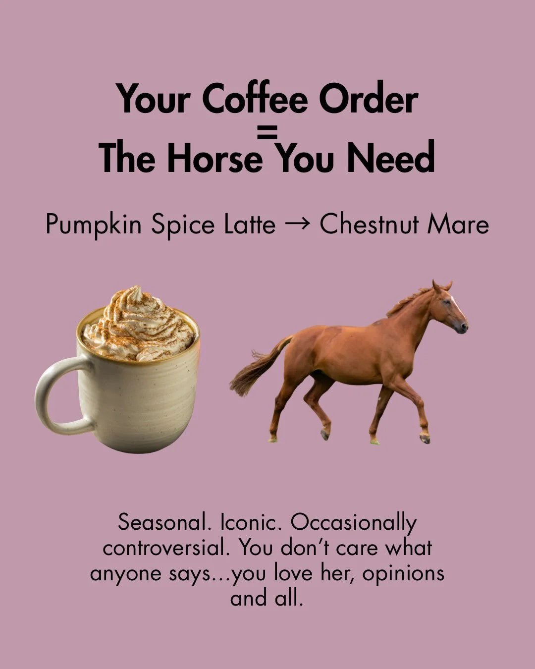 Hot take: I don&rsquo;t actually like coffee all that much (tea always!) but on the rare occasions I do indulge, it&rsquo;s sweet, chocolatey, and layered, just like the horse who started it all 🤎

Happy #NationalCoffeeDay! ☕️
