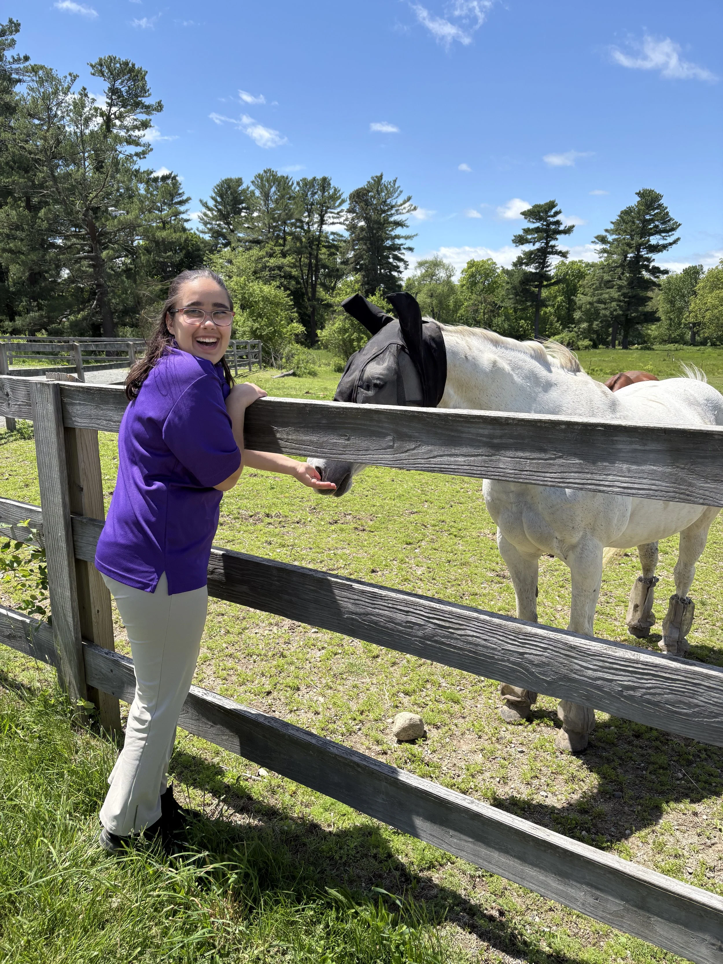 A young woman in a purple shirt and white pants leaning over a wooden fence, feeding a white horse with black ears at a farm on a sunny day with trees and blue sky in the background.