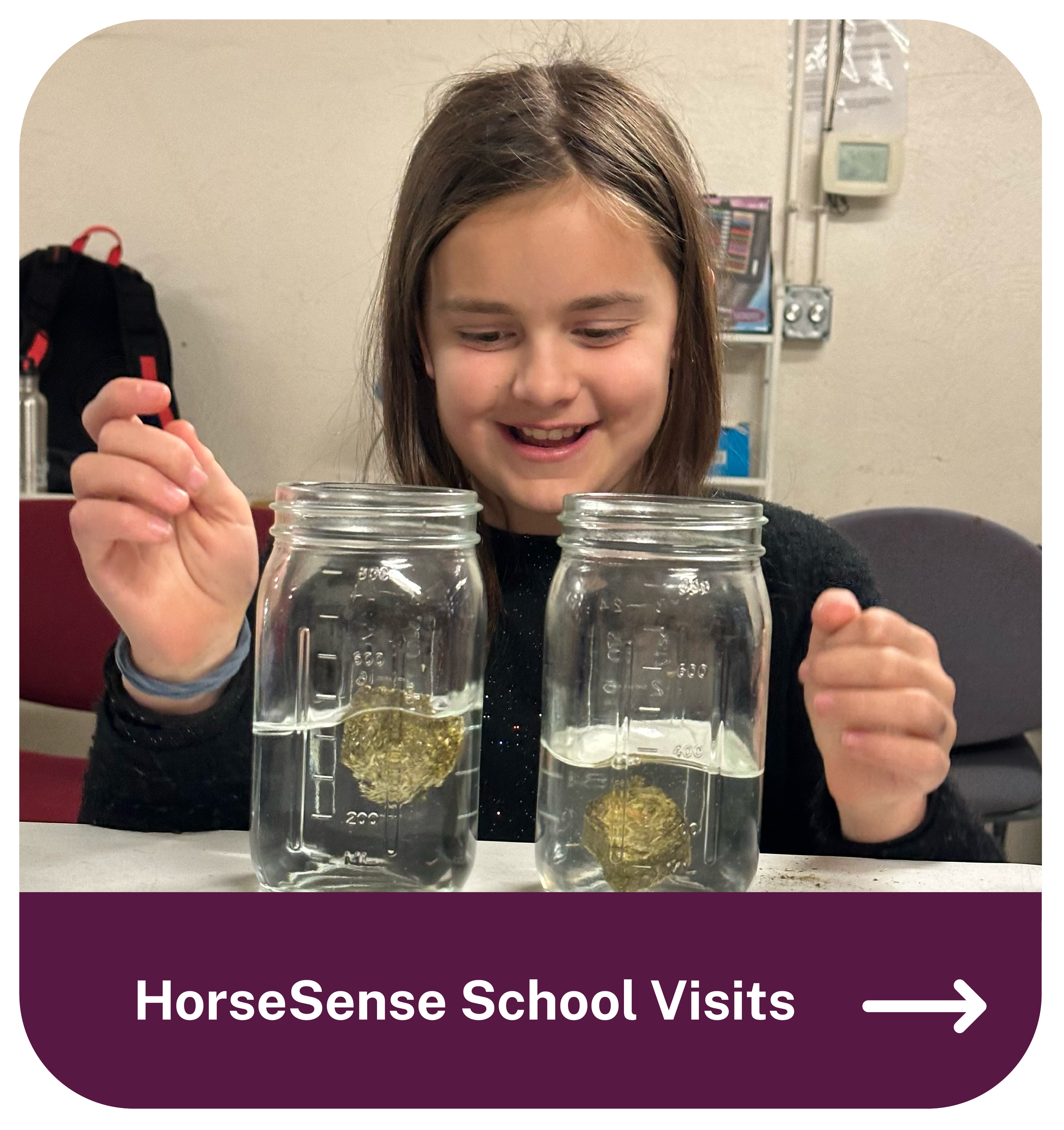 A young girl observing two glass jars filled with water and objects inside, during a school visit.