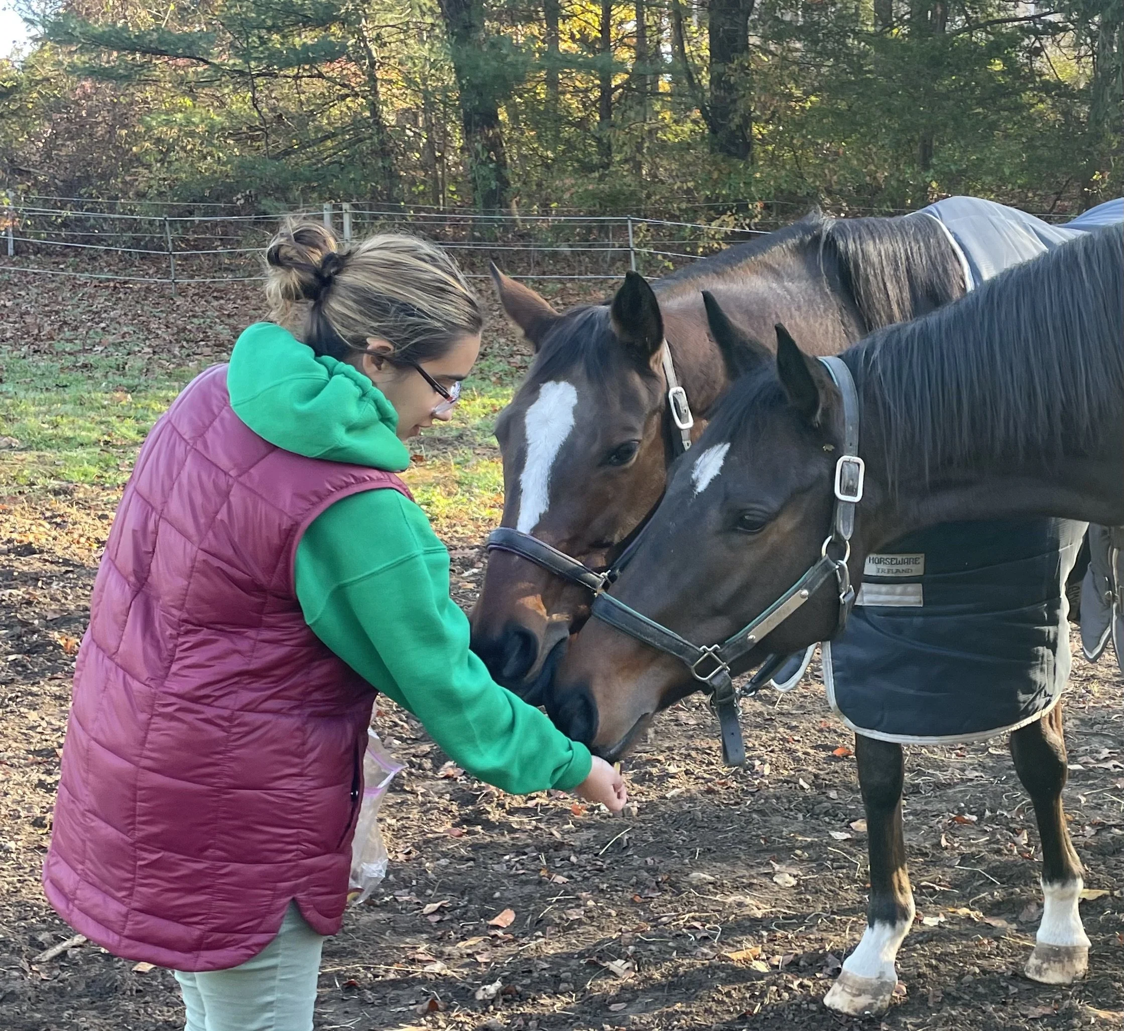 A woman in a green hoodie and pink vest feeding two horses in a paddock with trees in the background.